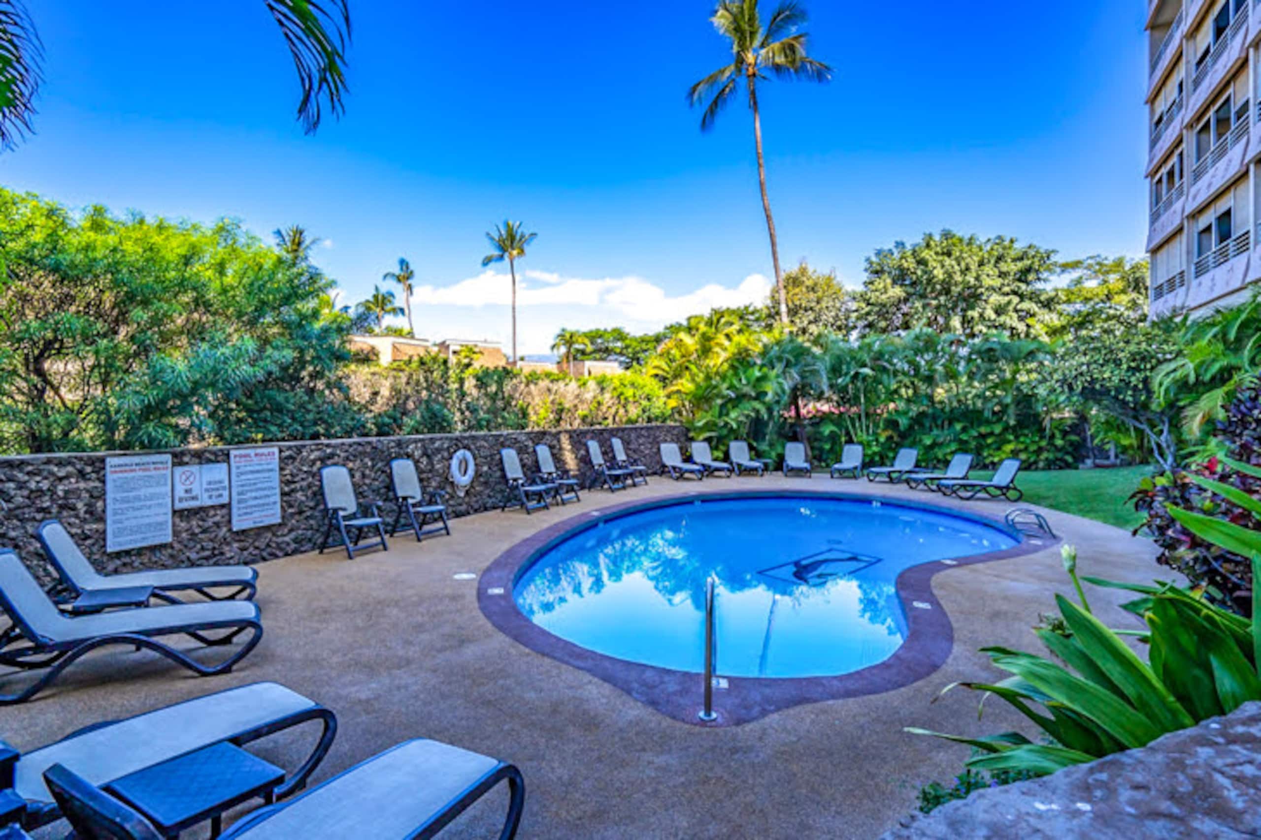Ocean View, Steps to Beach, Full Kitchen, KBR312 - Image 56