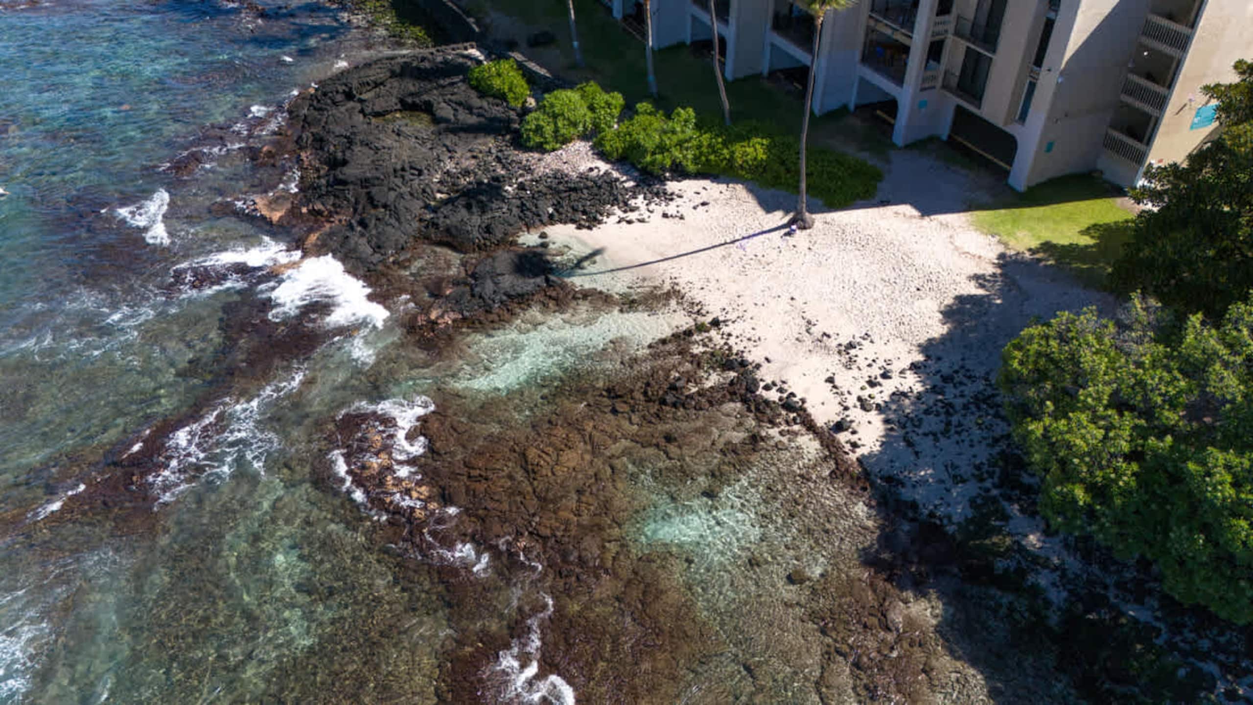 Condo in Kailua-Kona · ★4.9 · 1 bedroom · 2 beds · 1 bath - Image 19