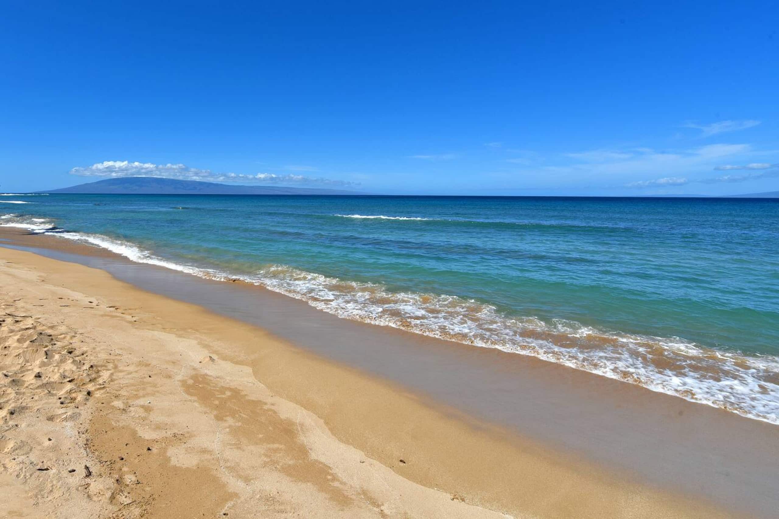 Condo in Lahaina · ★4.83 · 1 bedroom · 2 beds · 1 bath - Image 42