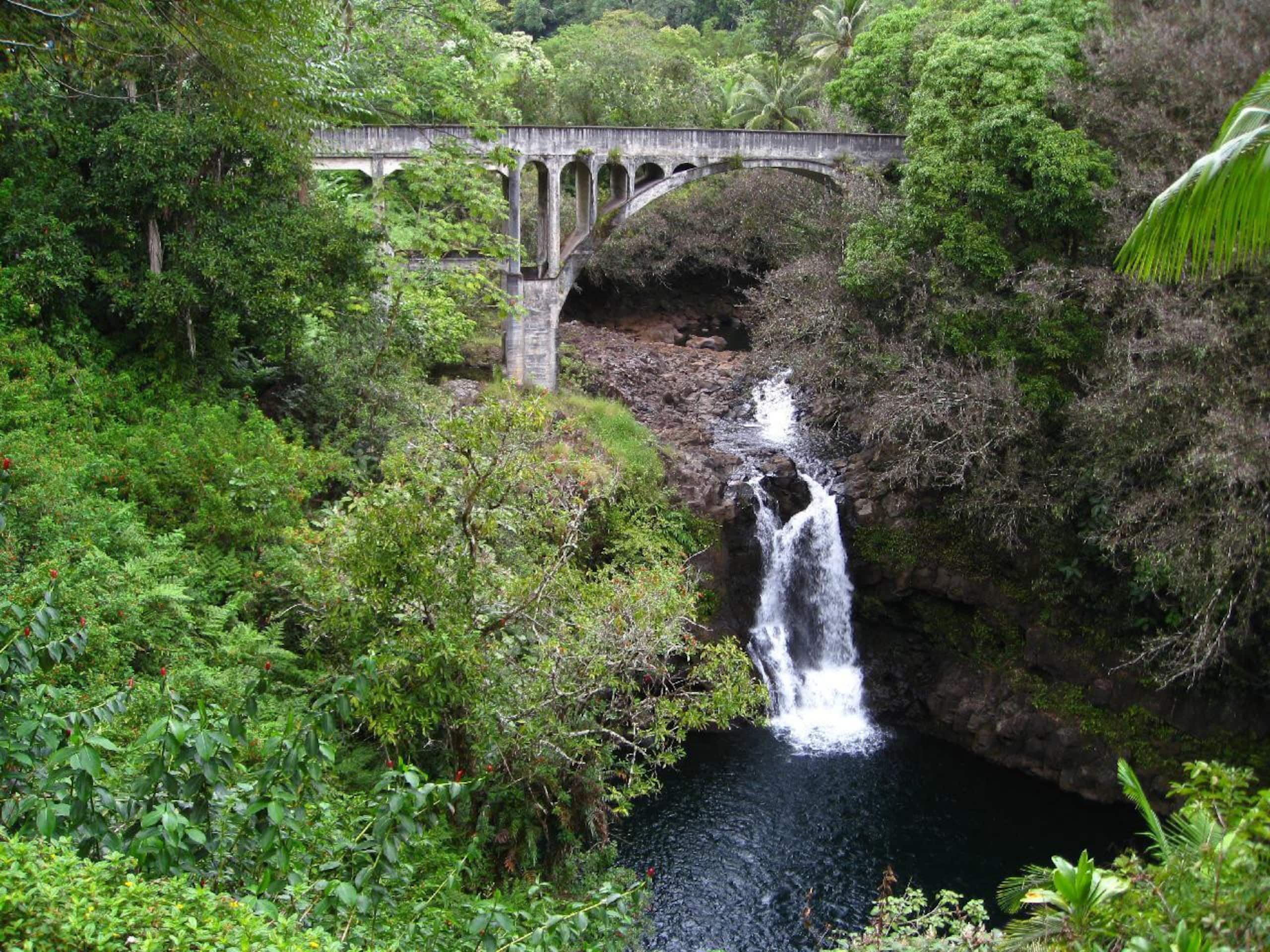 Home in Hilo · ★4.97 · 3 bedrooms · 4 beds · 3.5 baths - Image 79