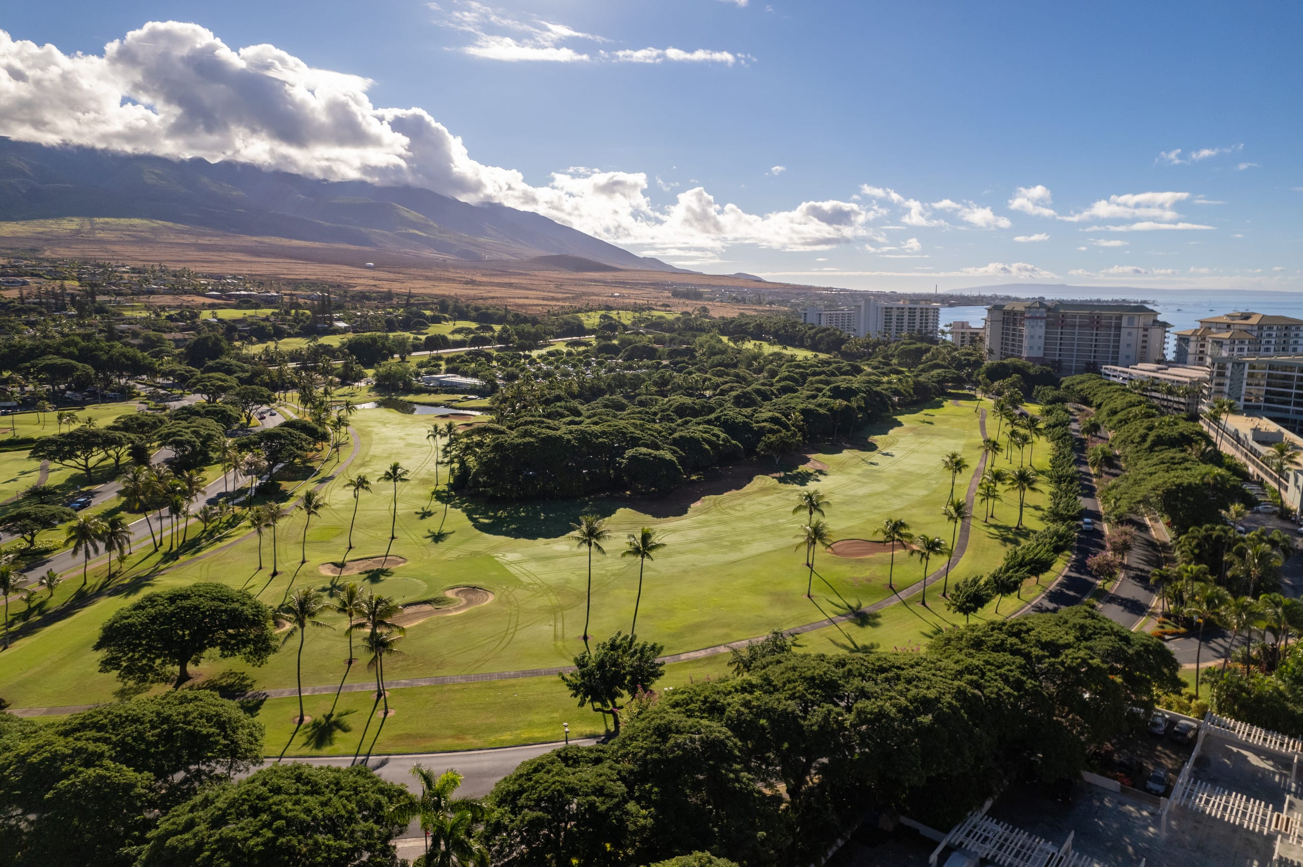 Home in Lahaina · ★5.0 · 2 bedrooms · 3 beds · 2 baths - Image 70