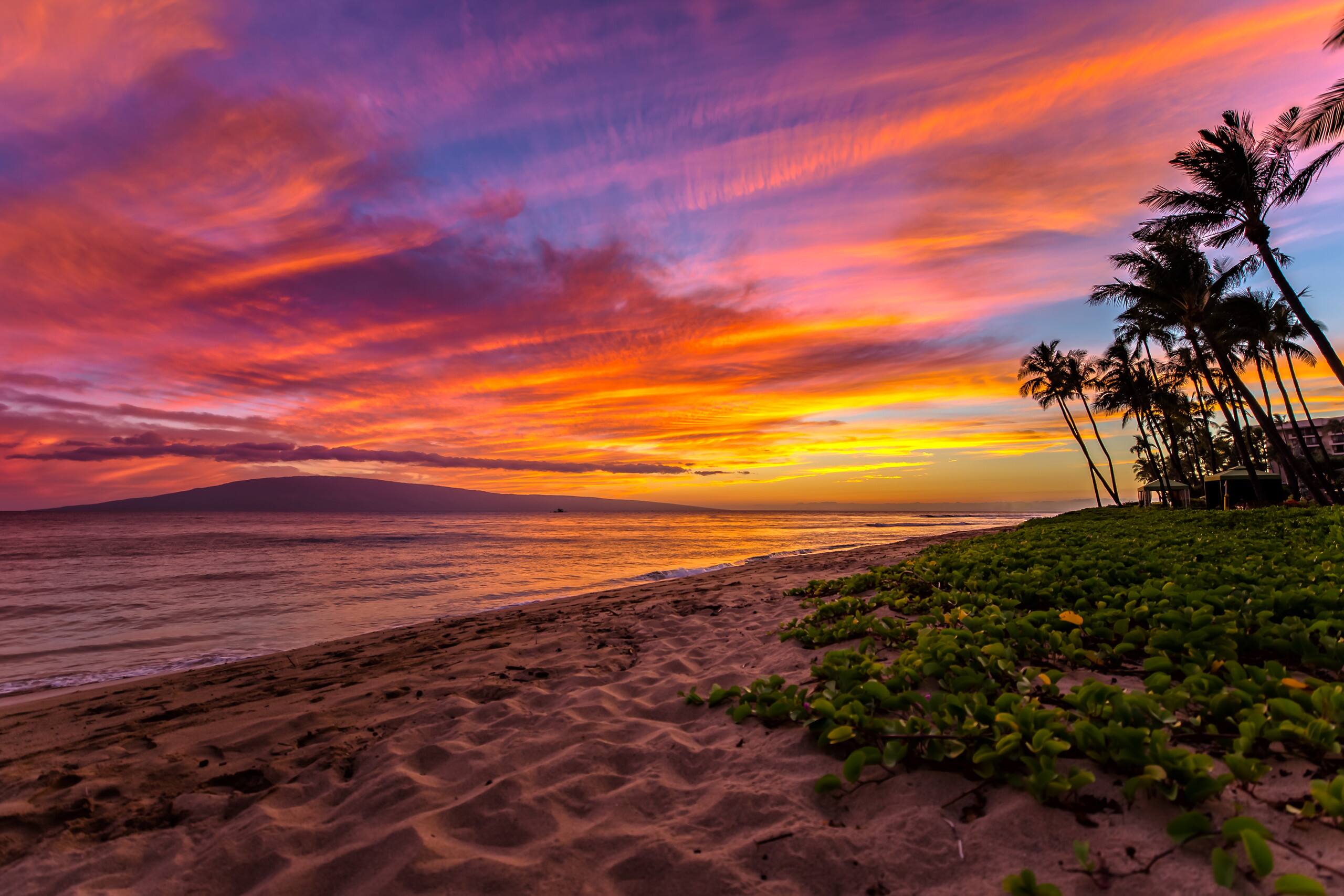 Home in Lahaina · ★5.0 · 2 bedrooms · 3 beds · 2 baths - Image 81