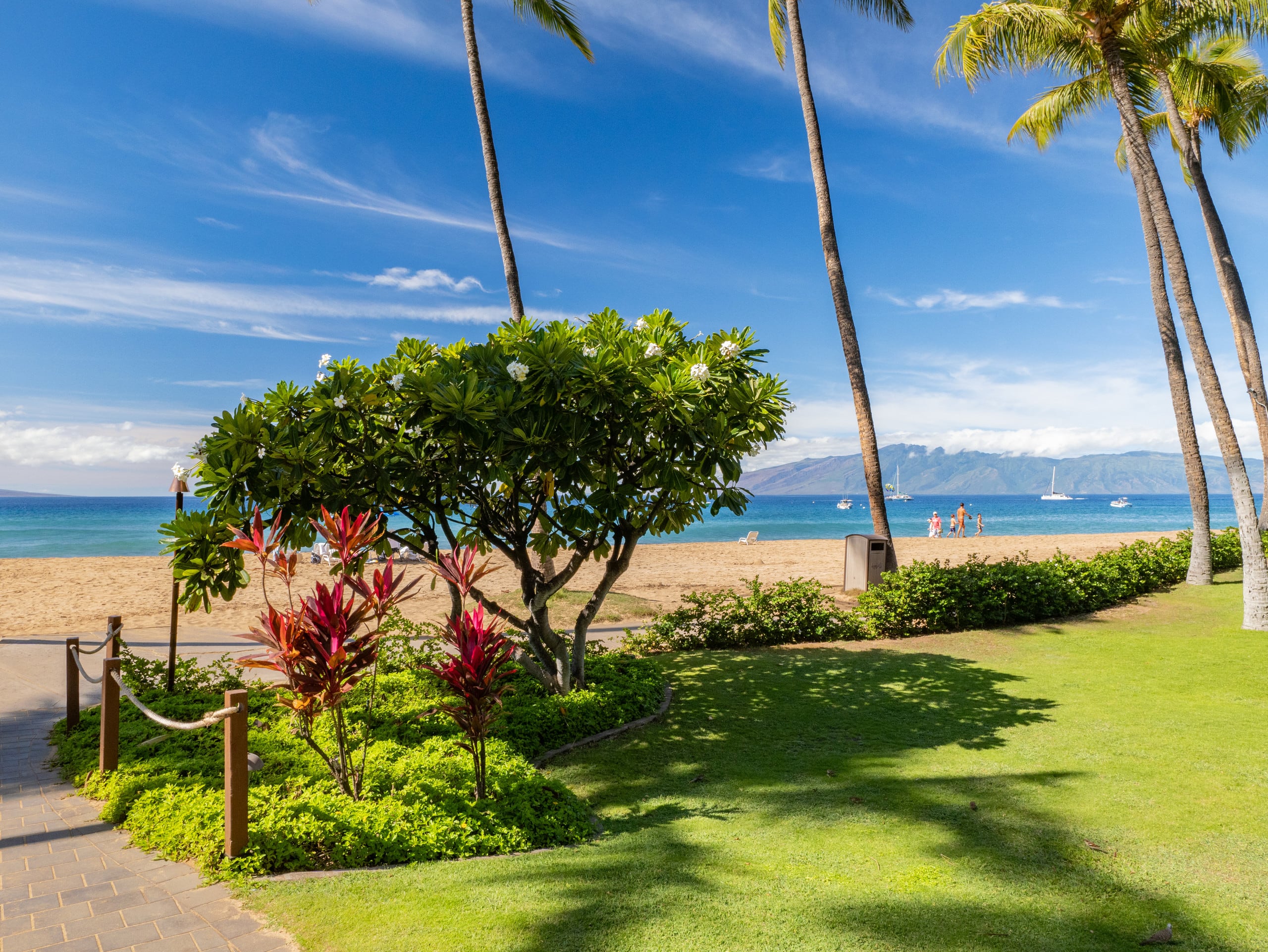 Home in Lahaina · ★5.0 · 2 bedrooms · 3 beds · 2 baths - Image 53