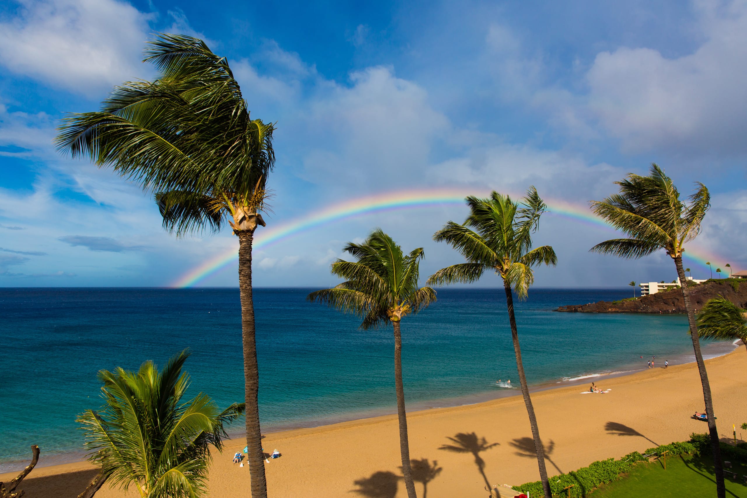 Home in Lahaina · ★5.0 · 2 bedrooms · 3 beds · 2 baths - Image 84