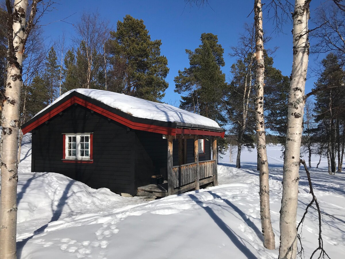 A rustic cabin is located in a snowy landscape, surrounded by tall evergreen trees. The structure features a dark exterior with a red-trimmed roof and window frames. Fresh snow blankets the ground, creating a serene and tranquil atmosphere under clear blue skies.