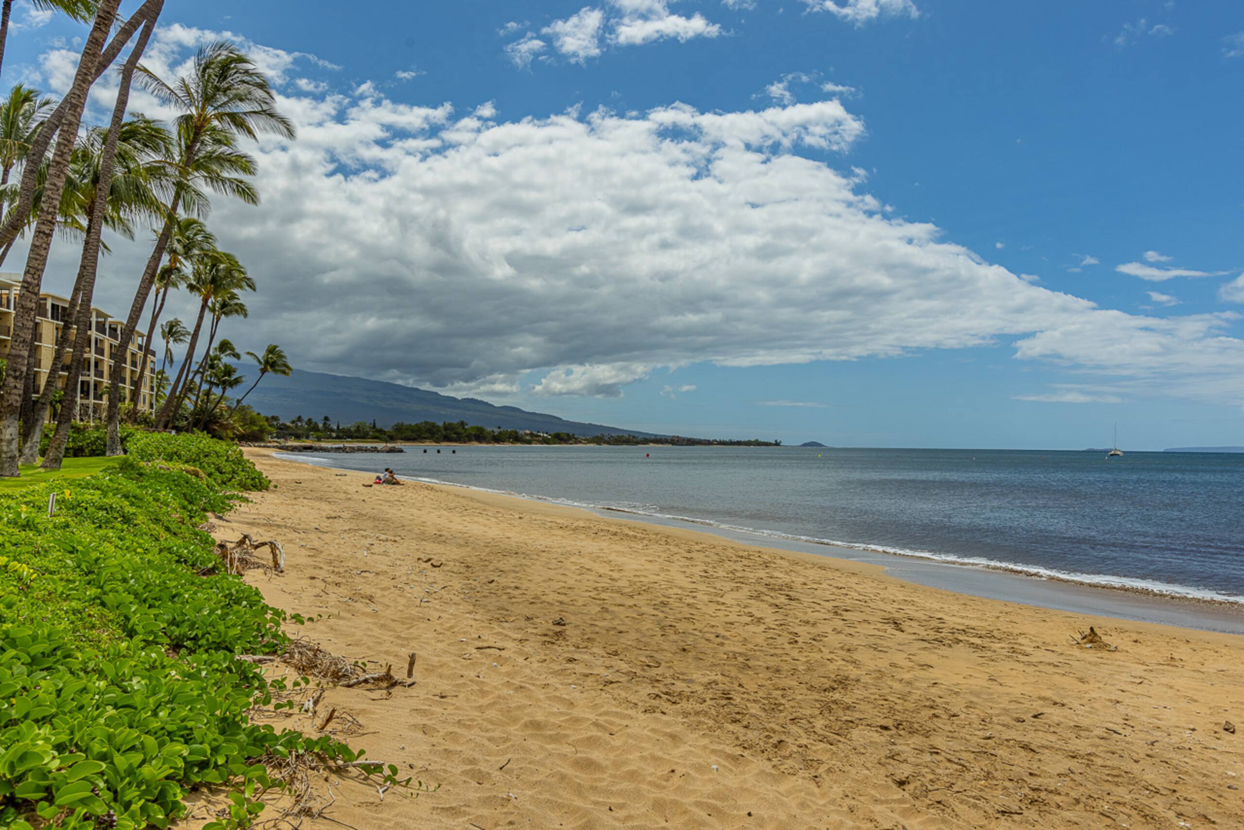 Condo in Kihei · ★4.5 · 2 bedrooms · 2 beds · 2 baths - Image 49
