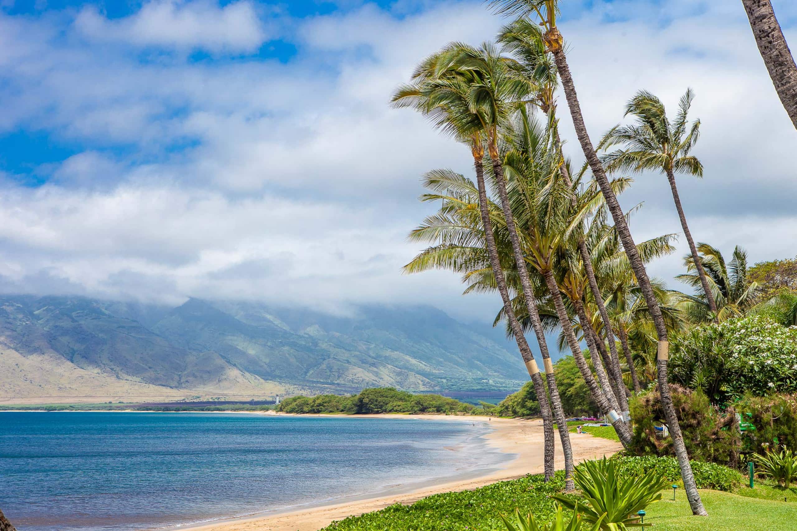 Condo in Kihei · ★4.5 · 2 bedrooms · 2 beds · 2 baths - Image 45