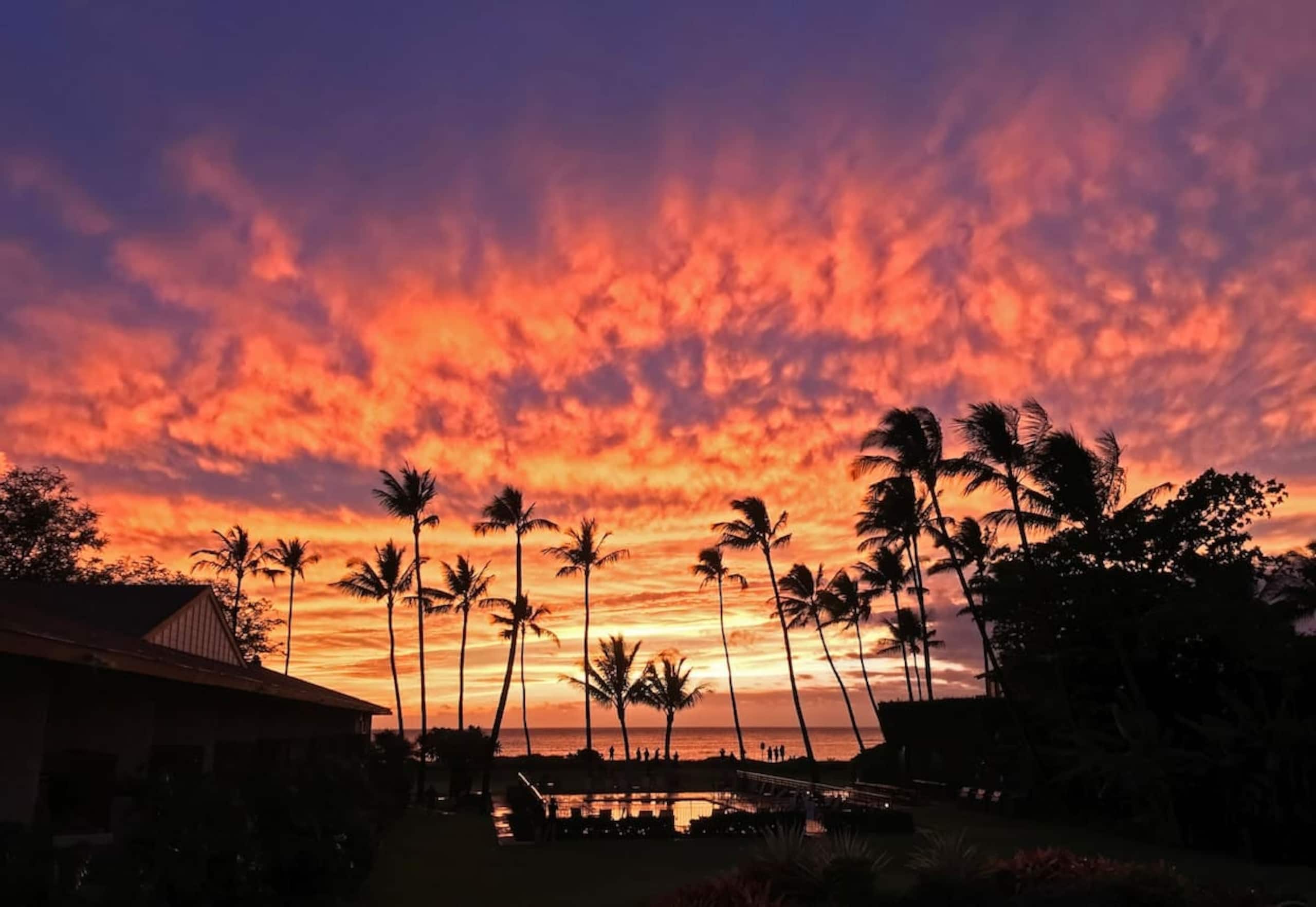 Condo in Kihei · ★4.75 · 1 bedroom · 2 beds · 1 bath - Image 33
