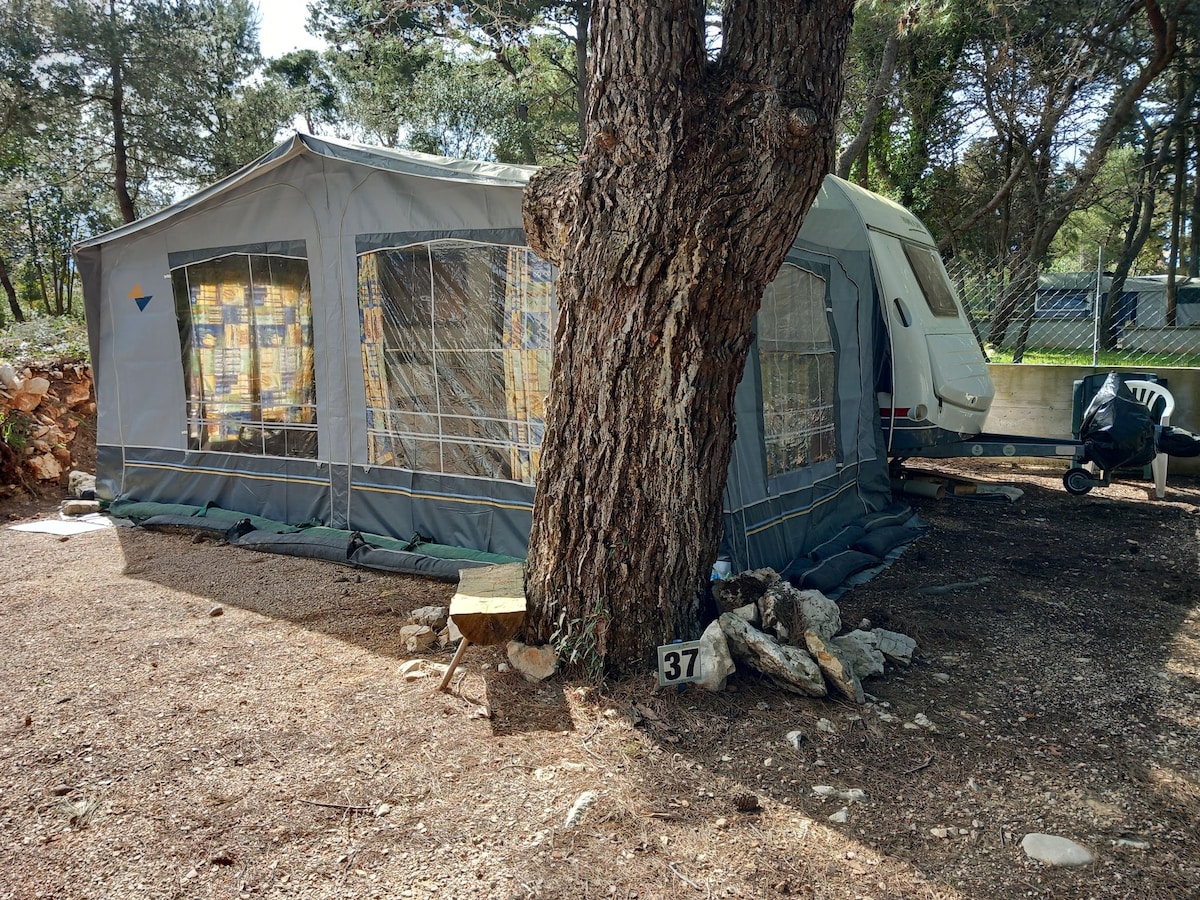 A well-structured tent is positioned next to a caravan, surrounded by trees and gravel. Large windows allow natural light to filter through the fabric, providing a view of the outdoor environment. A small wooden table and a chair are visible, enhancing the outdoor seating area.