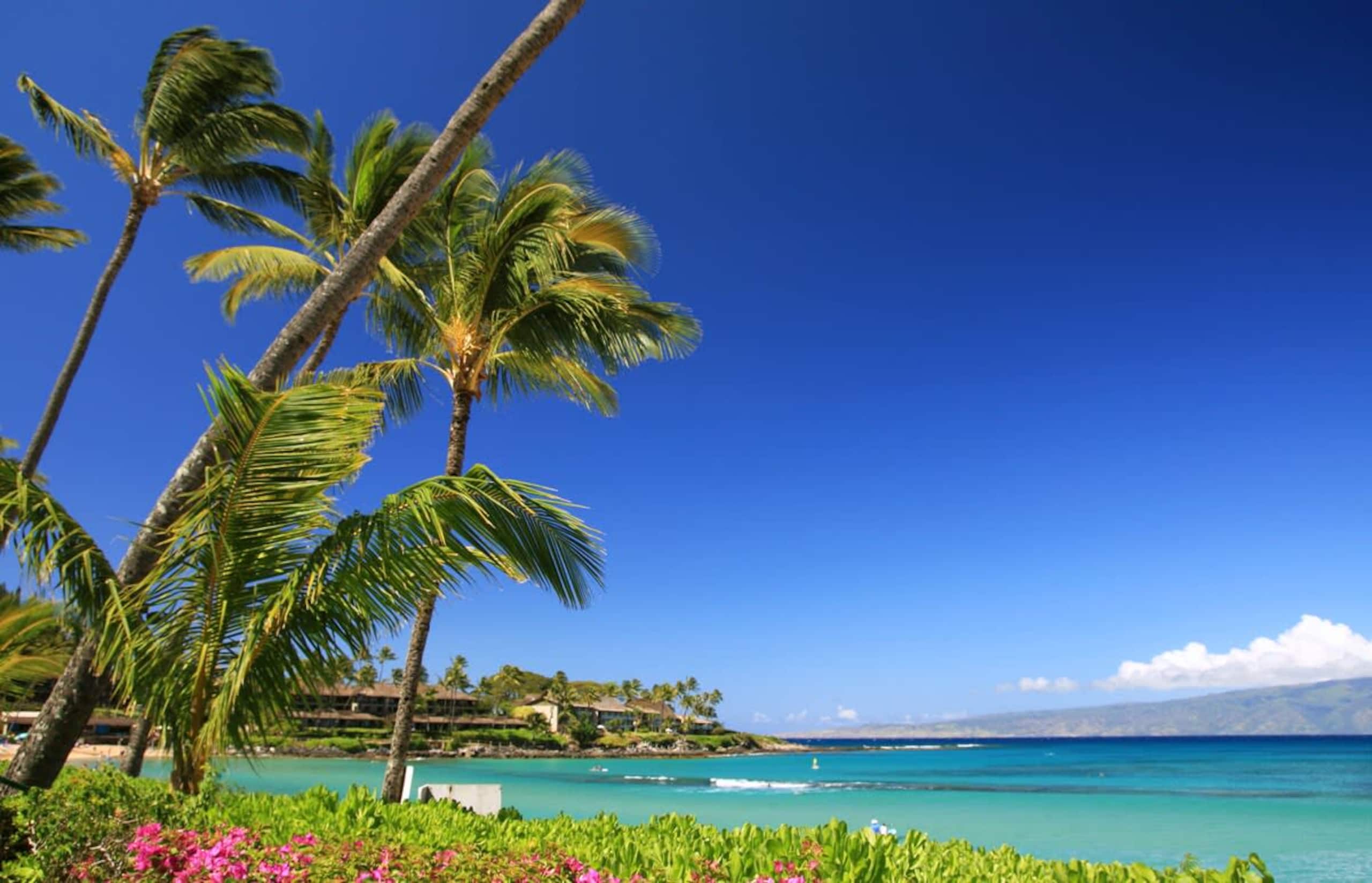 Condo in Kihei · ★4.8 · 2 bedrooms · 2 beds · 2 baths - Image 37
