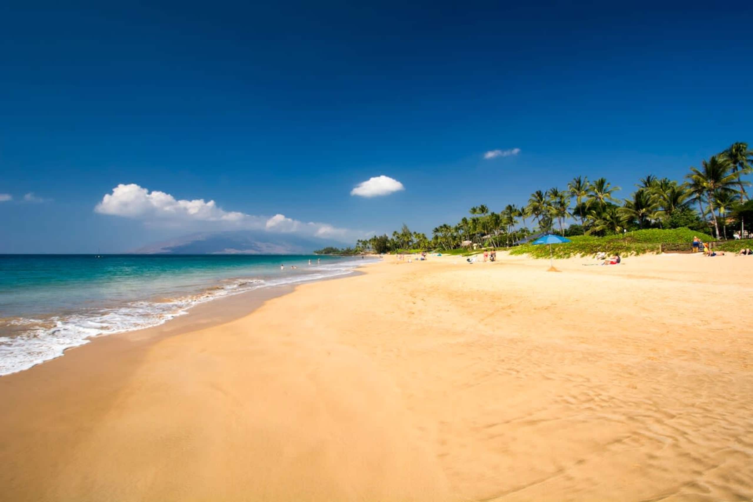 Condo in Kihei · ★4.8 · 2 bedrooms · 2 beds · 2 baths - Image 38