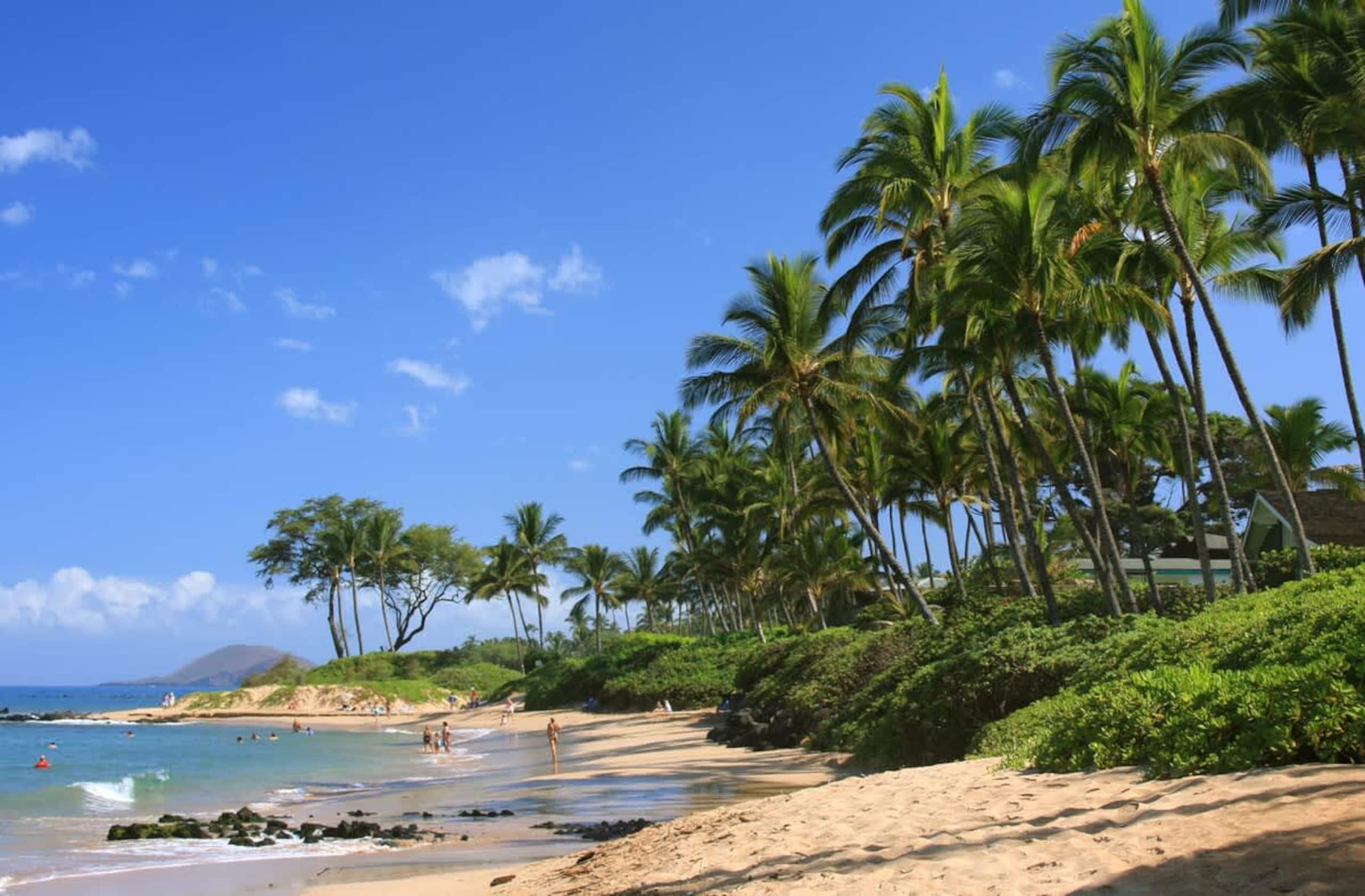 Condo in Kihei · ★4.8 · 2 bedrooms · 2 beds · 2 baths - Image 27