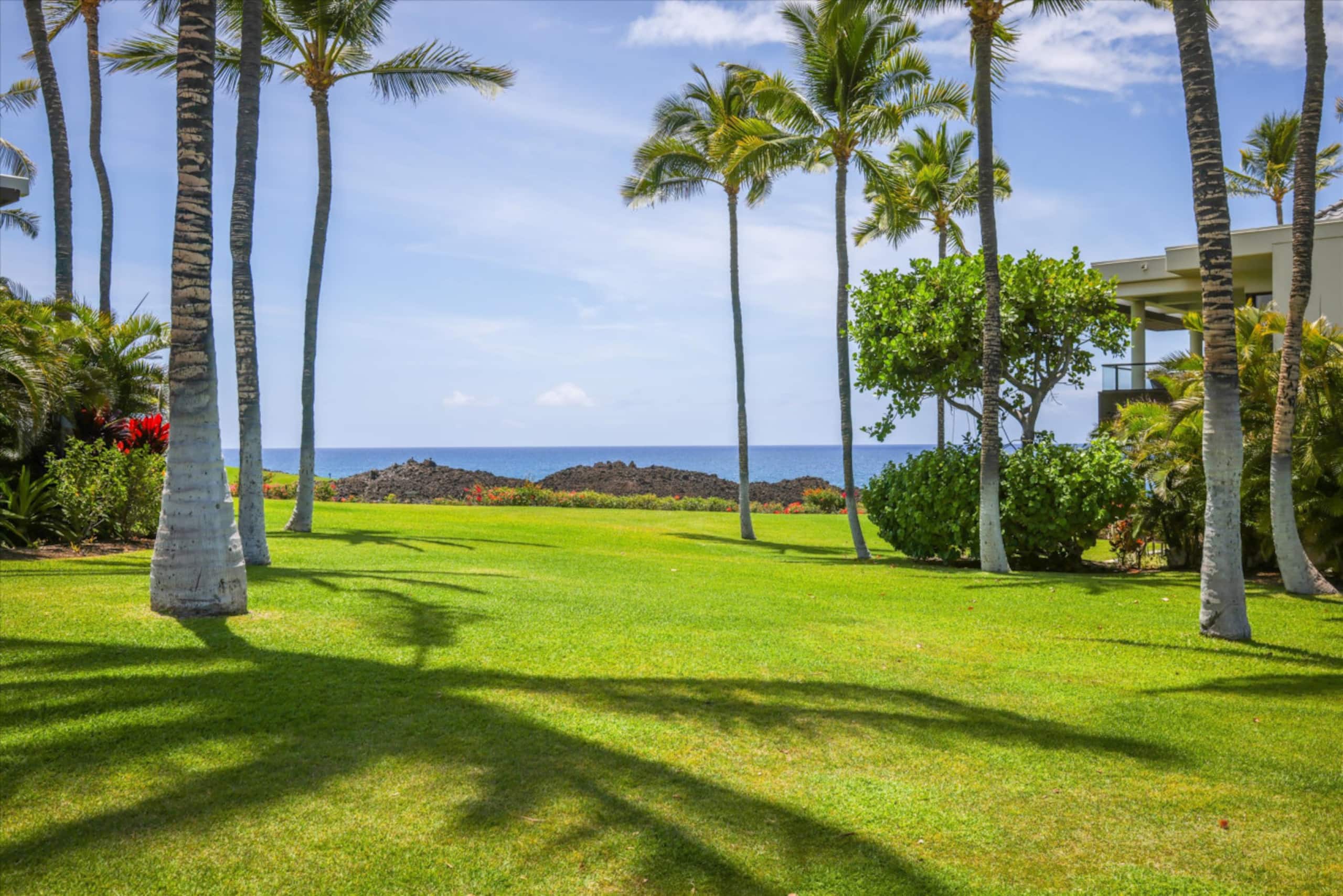Condo in Puako · ★4.97 · 2 bedrooms · 4 beds · 2.5 baths - Photo 37