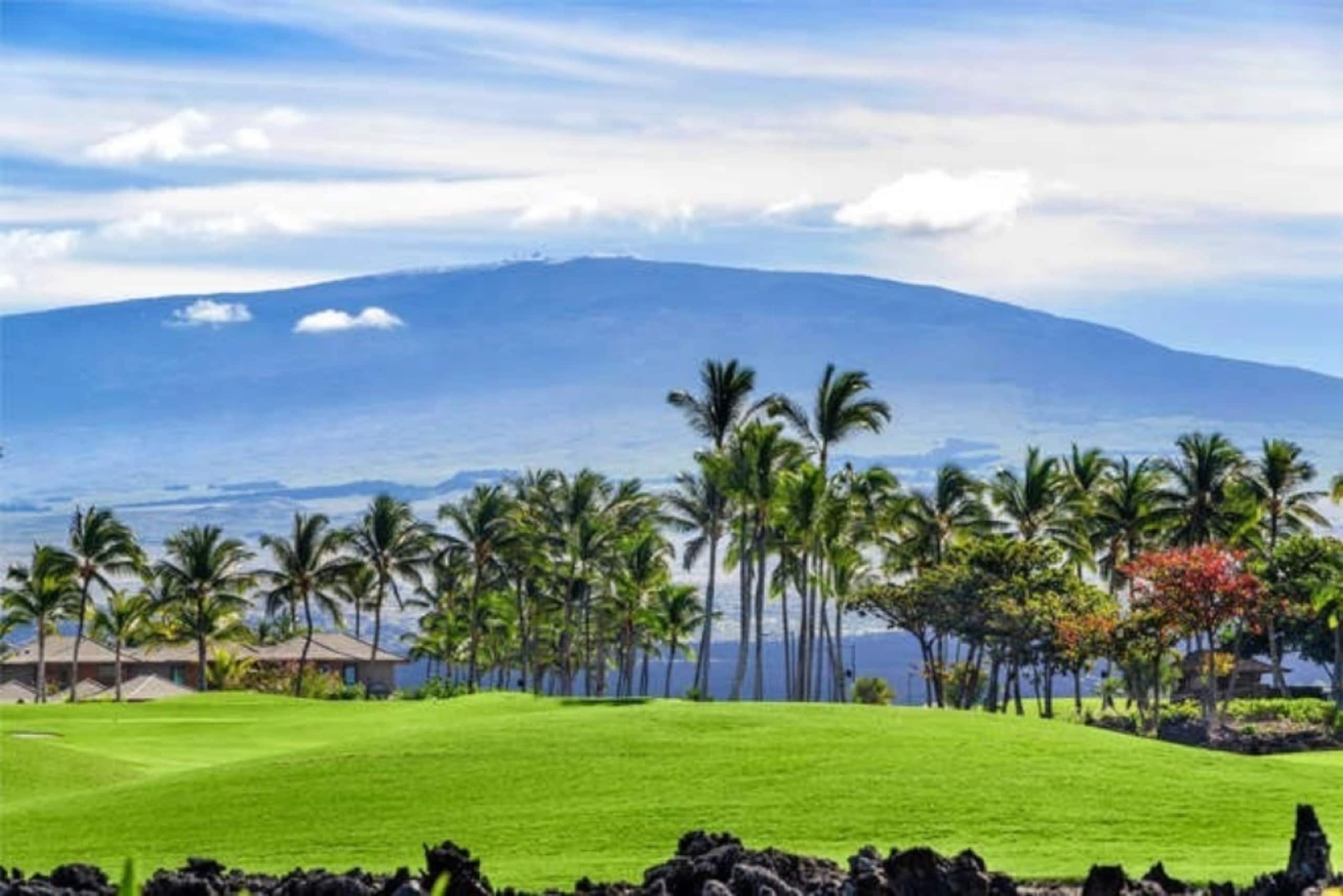 Condo in Puako · ★4.97 · 2 bedrooms · 4 beds · 2.5 baths - Photo 22