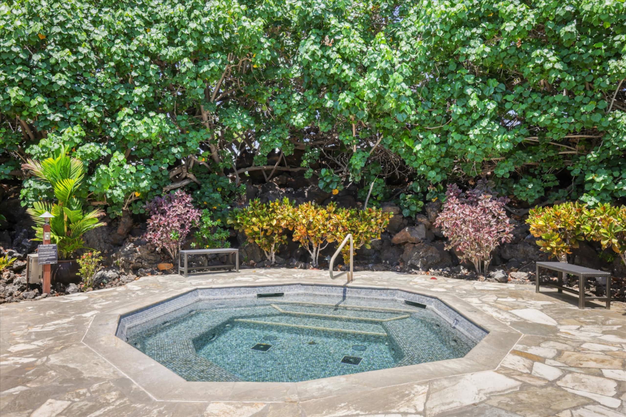 Condo in Puako · ★4.97 · 2 bedrooms · 4 beds · 2.5 baths - Photo 44