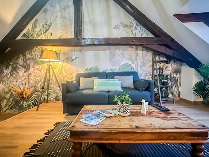 Casa Jungle Loft Rue Du Paquier Zone Piétonne - Annecy
