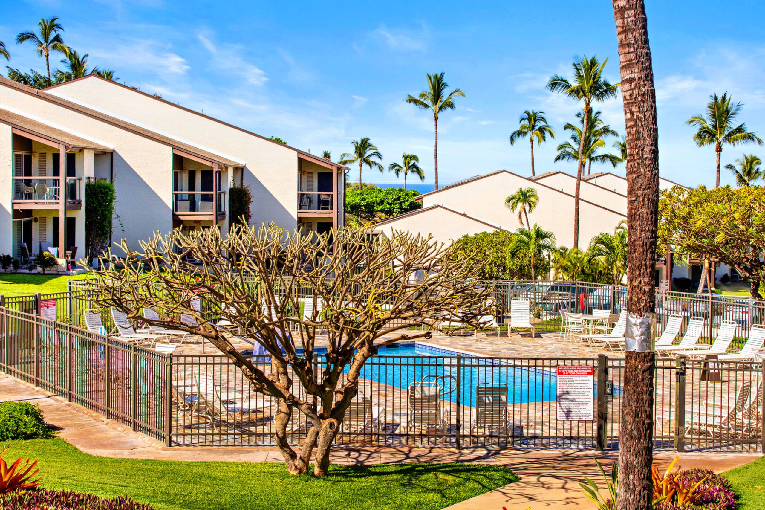 Condo in Kihei · ★5.0 · 1 bedroom · 1 bed · 1 bath - Image 44