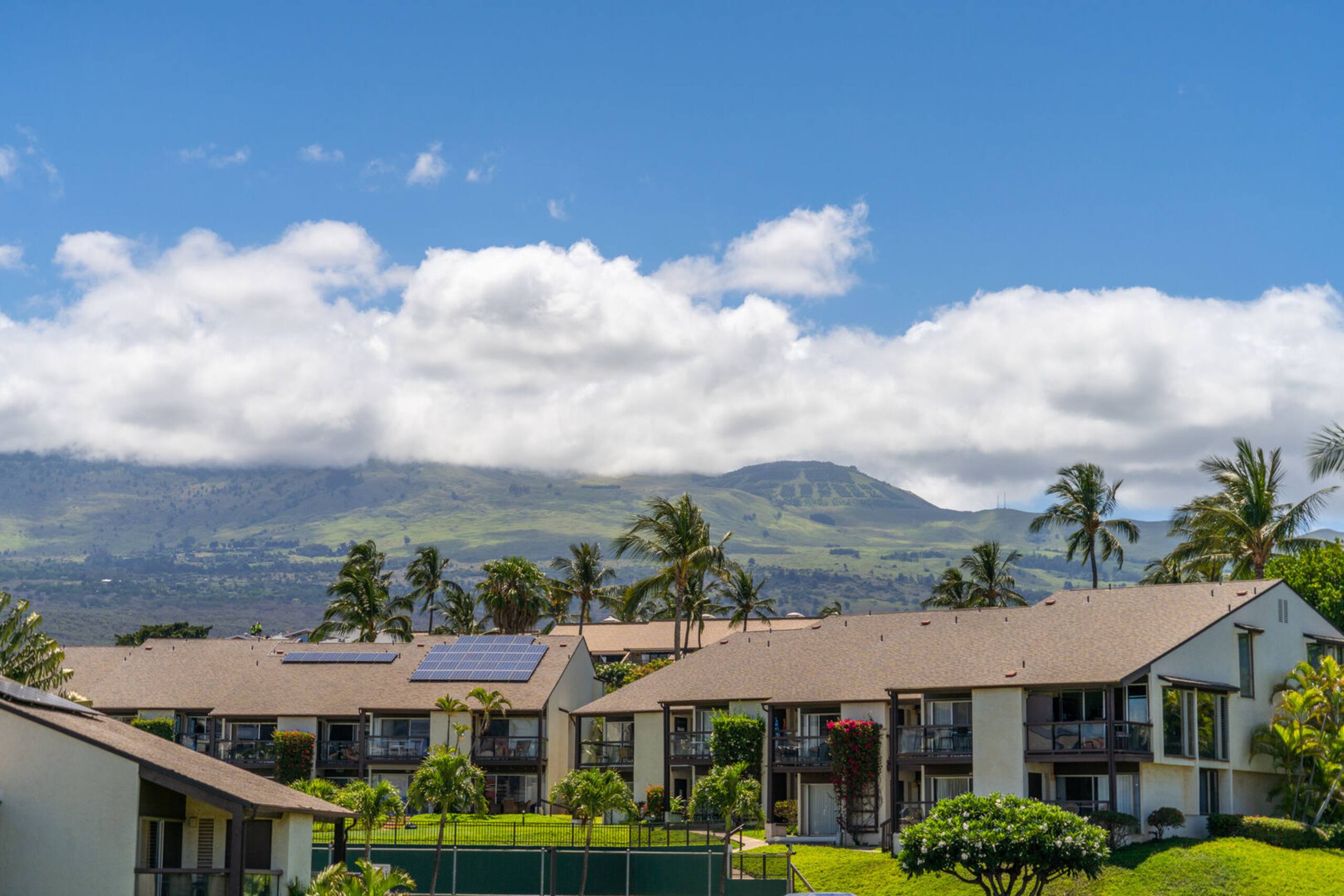 Condo in Kihei · ★5.0 · 1 bedroom · 1 bed · 1 bath - Image 43