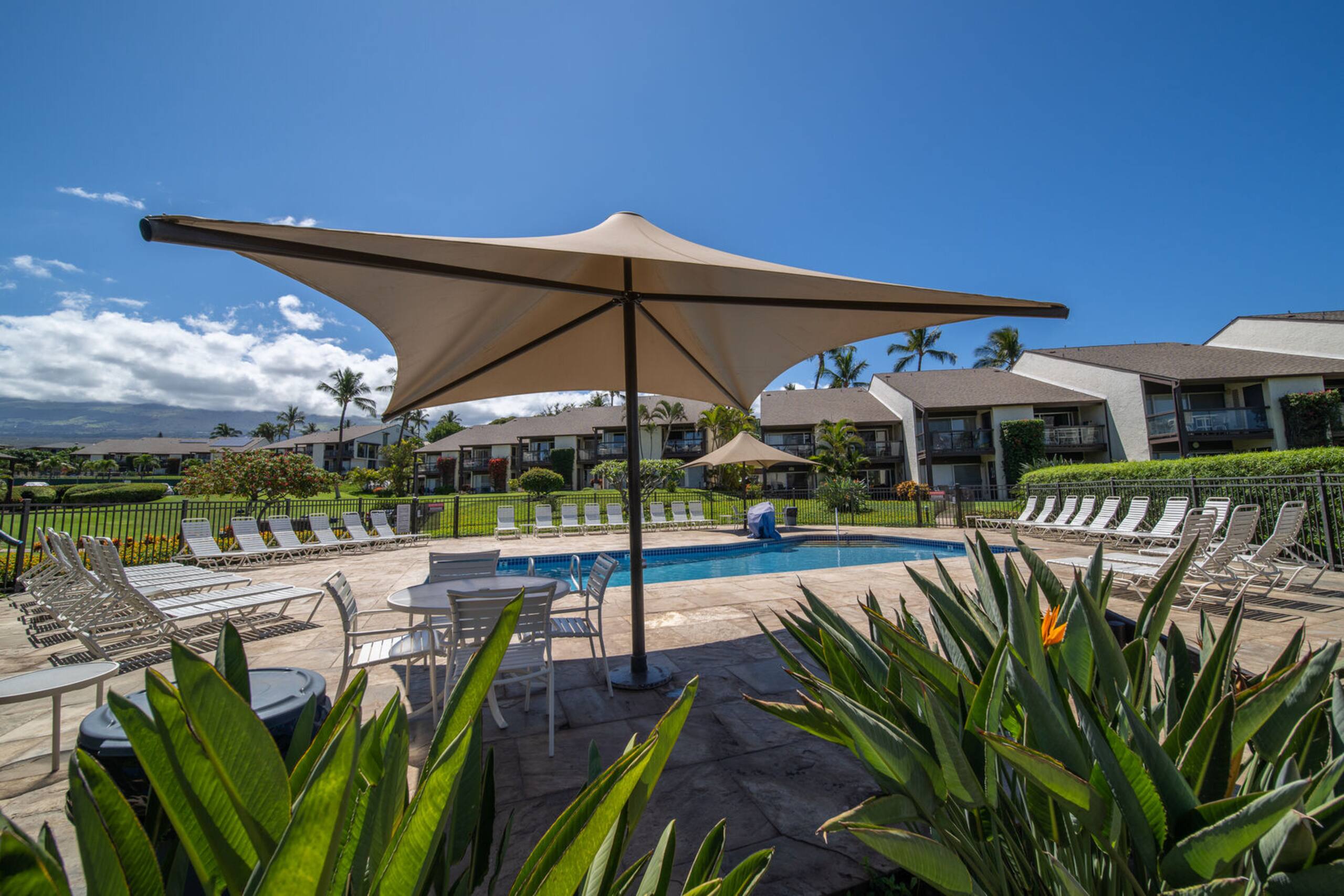 Condo in Kihei · ★5.0 · 1 bedroom · 1 bed · 1 bath - Image 38