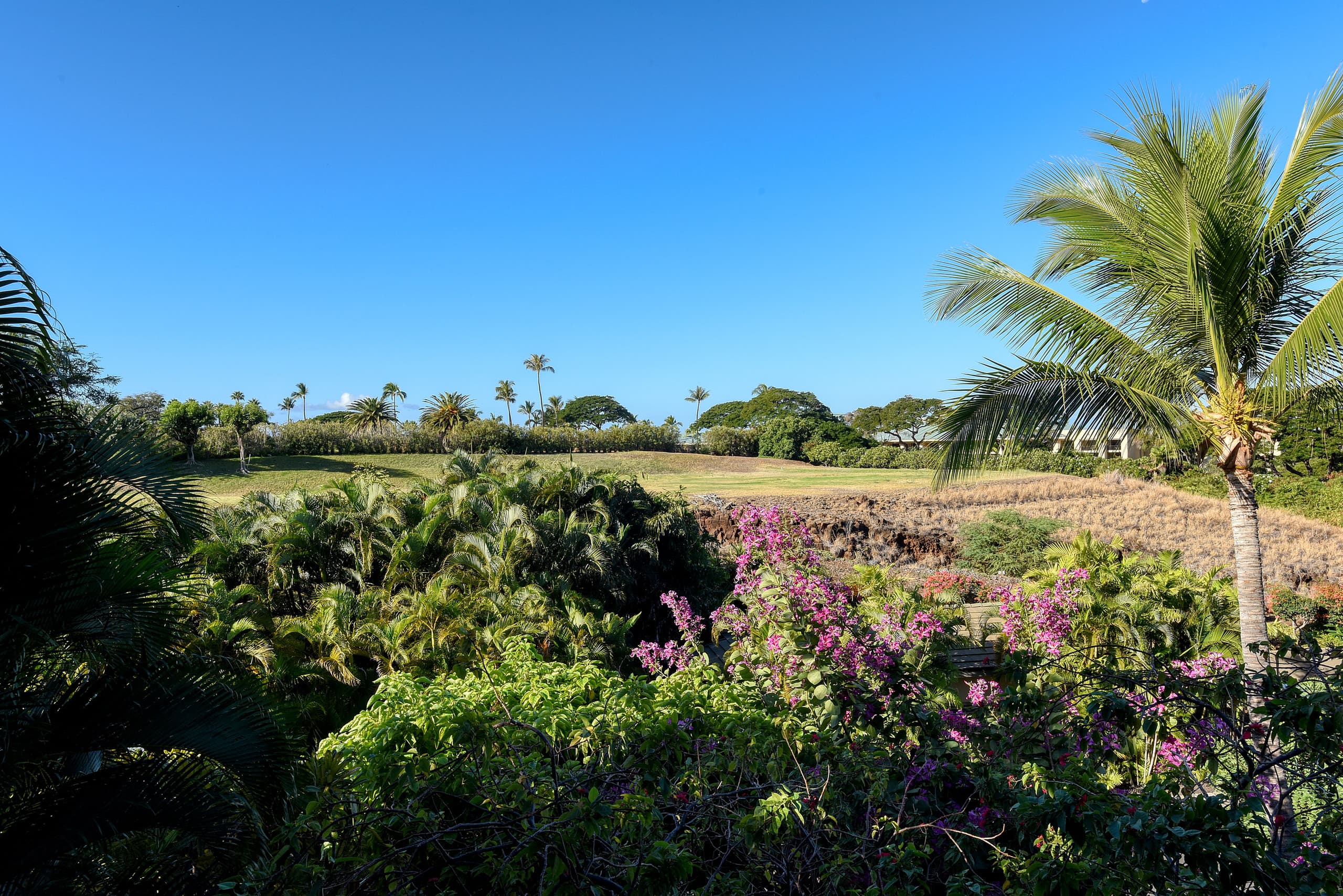 Home in Kihei · ★5.0 · 3 bedrooms · 4 beds · 3.5 baths - Image 68