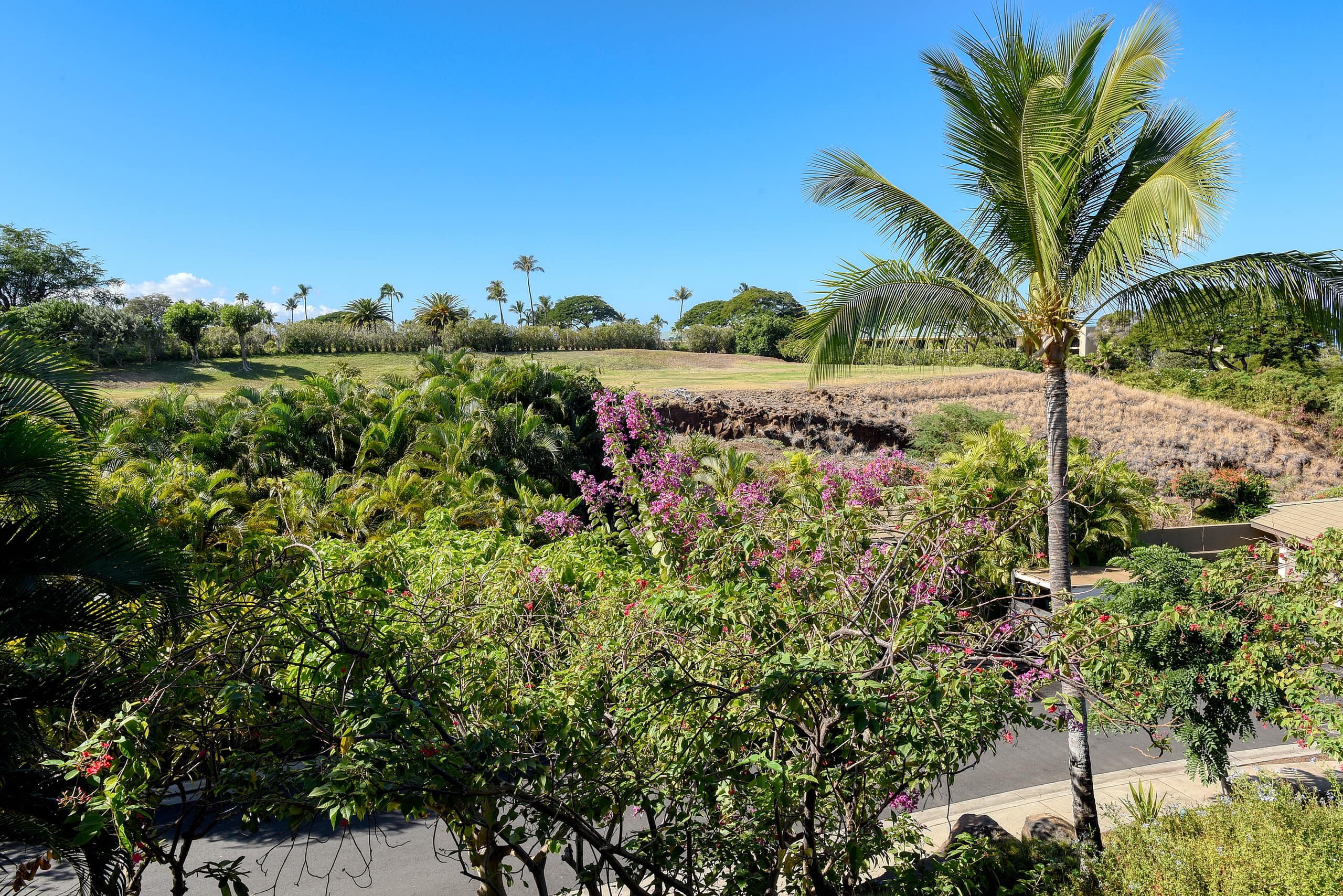 Home in Kihei · ★5.0 · 3 bedrooms · 4 beds · 3.5 baths - Image 69