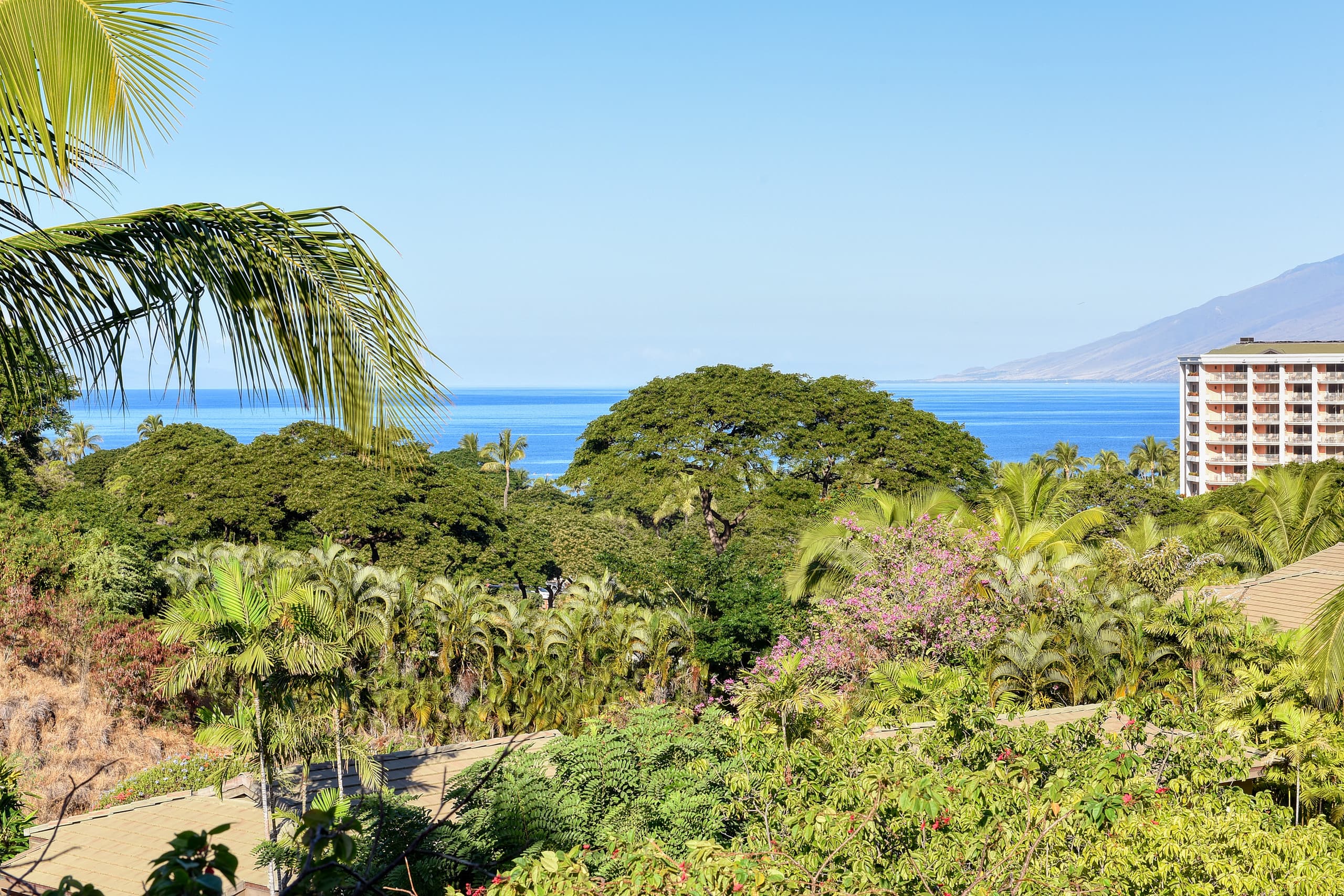 Home in Kihei · ★5.0 · 3 bedrooms · 4 beds · 3.5 baths - Image 2