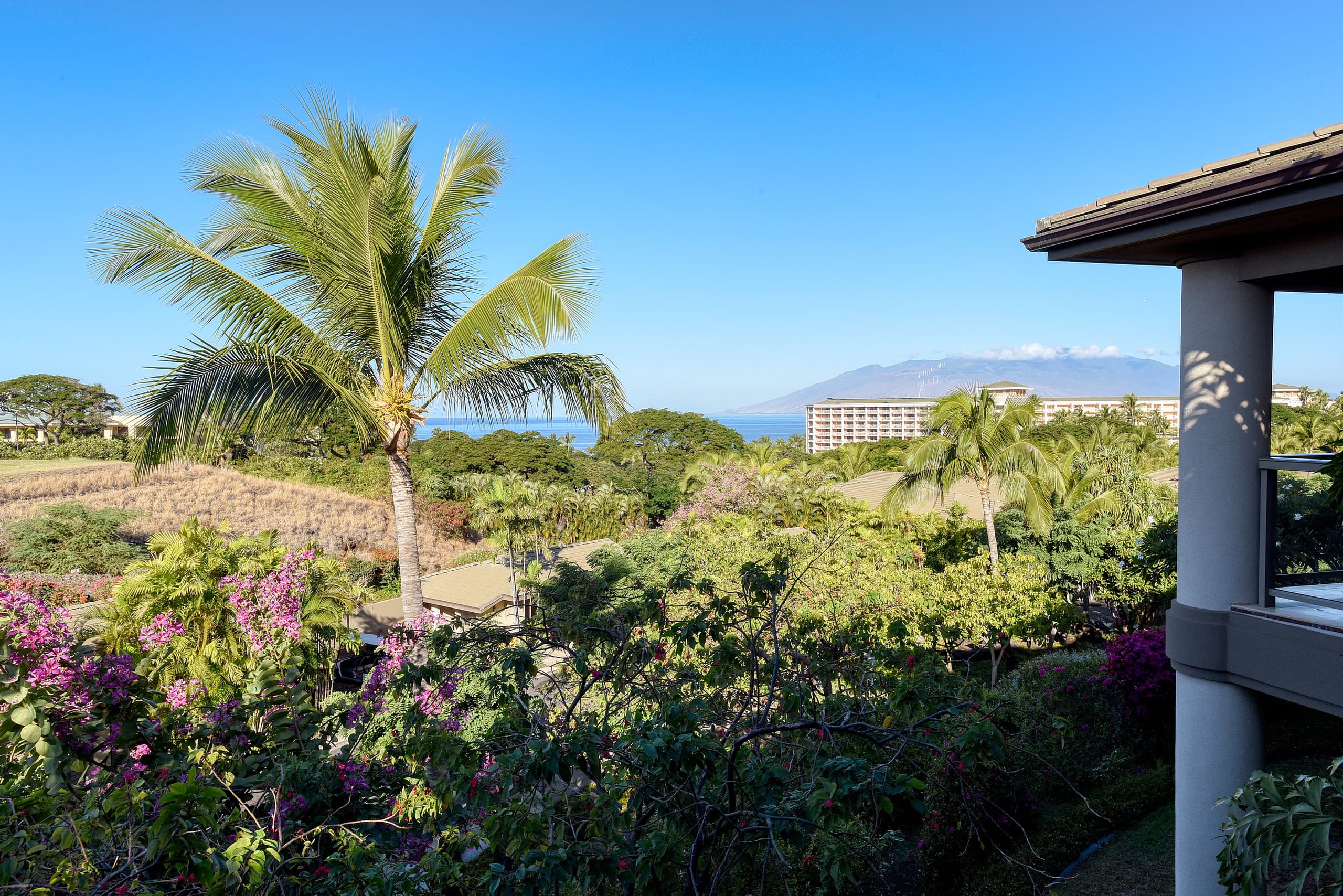 Home in Kihei · ★5.0 · 3 bedrooms · 4 beds · 3.5 baths - Image 67