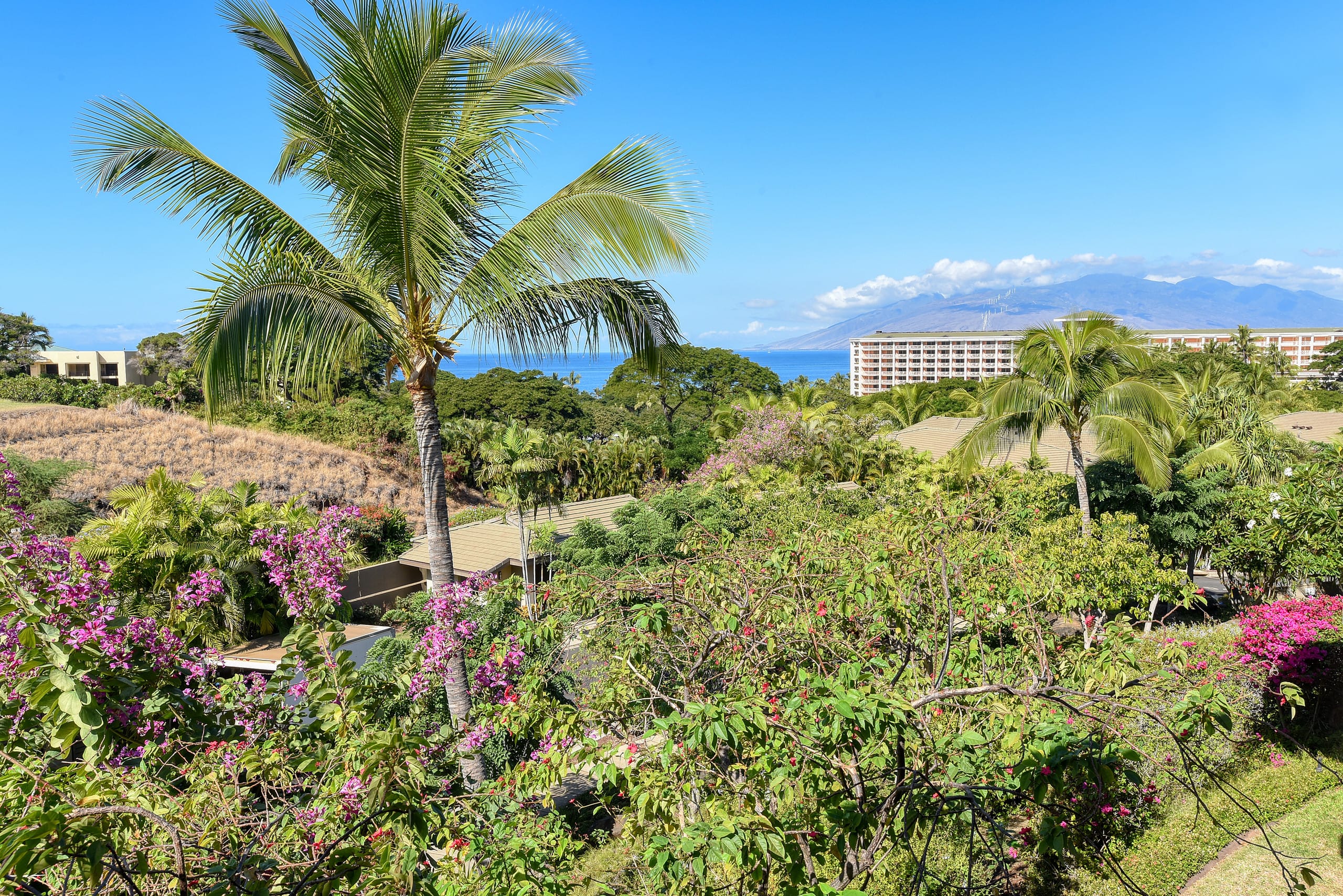 Home in Kihei · ★5.0 · 3 bedrooms · 4 beds · 3.5 baths - Image 70