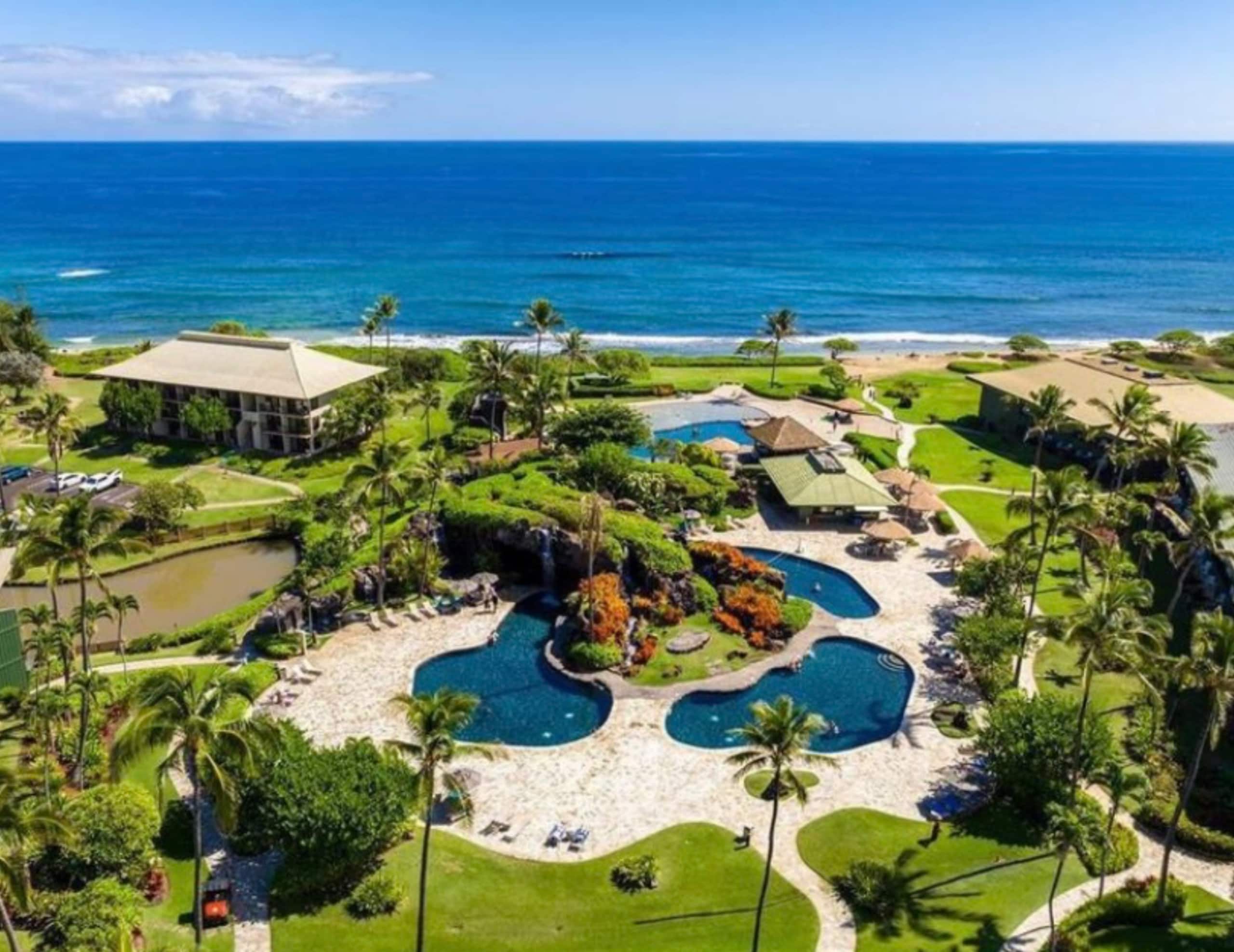 Condo in Lihue · ★4.87 · 1 bedroom · 2 beds · 1 shared bath - Image 23