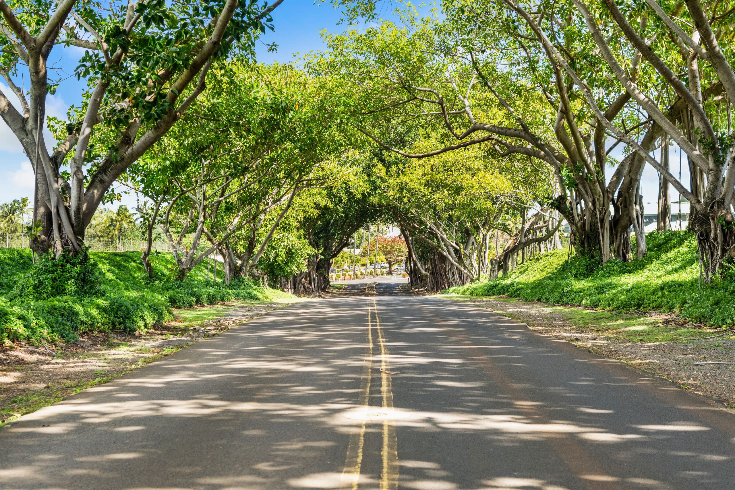 Condo in Lihue · ★4.87 · 1 bedroom · 2 beds · 1 shared bath - Image 27