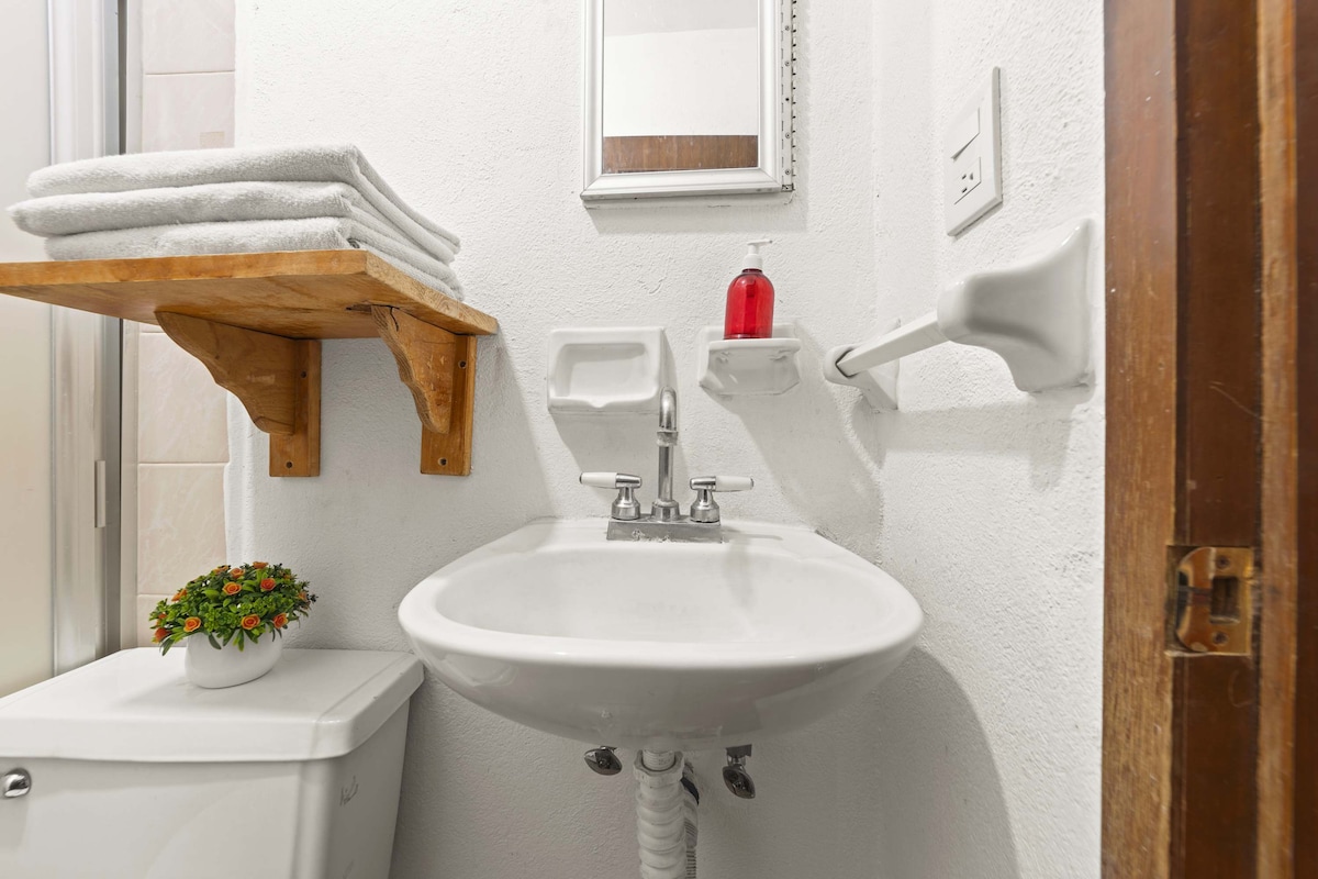 A compact bathroom features a wall-mounted sink beside a toilet. Neatly stacked towels are displayed on a wooden shelf above the sink, which is accompanied by a small potted plant. A mirror hangs above the sink, reflecting the simple and functional design.