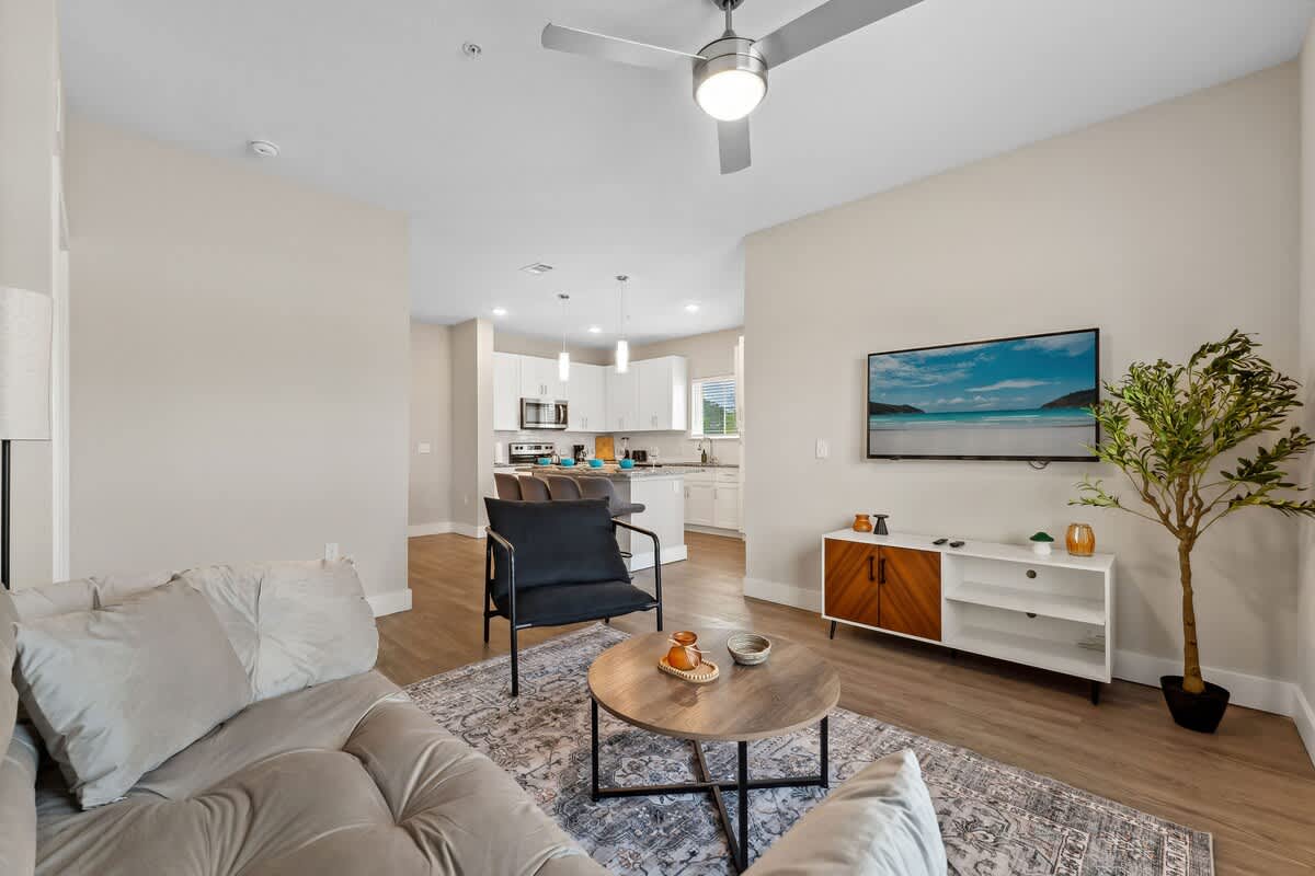 Popular Airbnb listing: Luxury King Bed, Close to Parks, Pet-Friendly in Meadow Woods