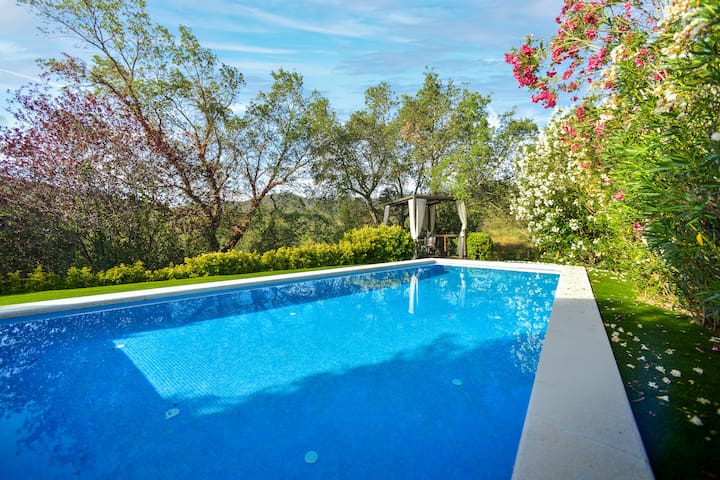 Beautiful Villa with private pool and Spectacular gallery image 3