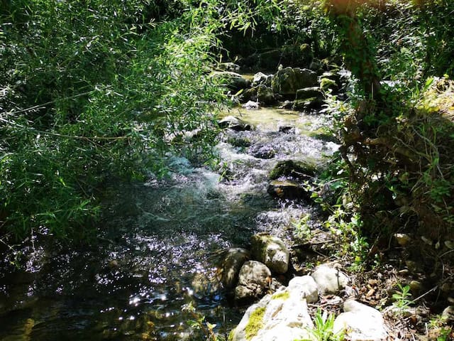 listing_image