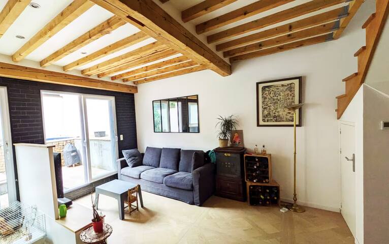 Charmant duplex familial dans le 7ème – Lyon