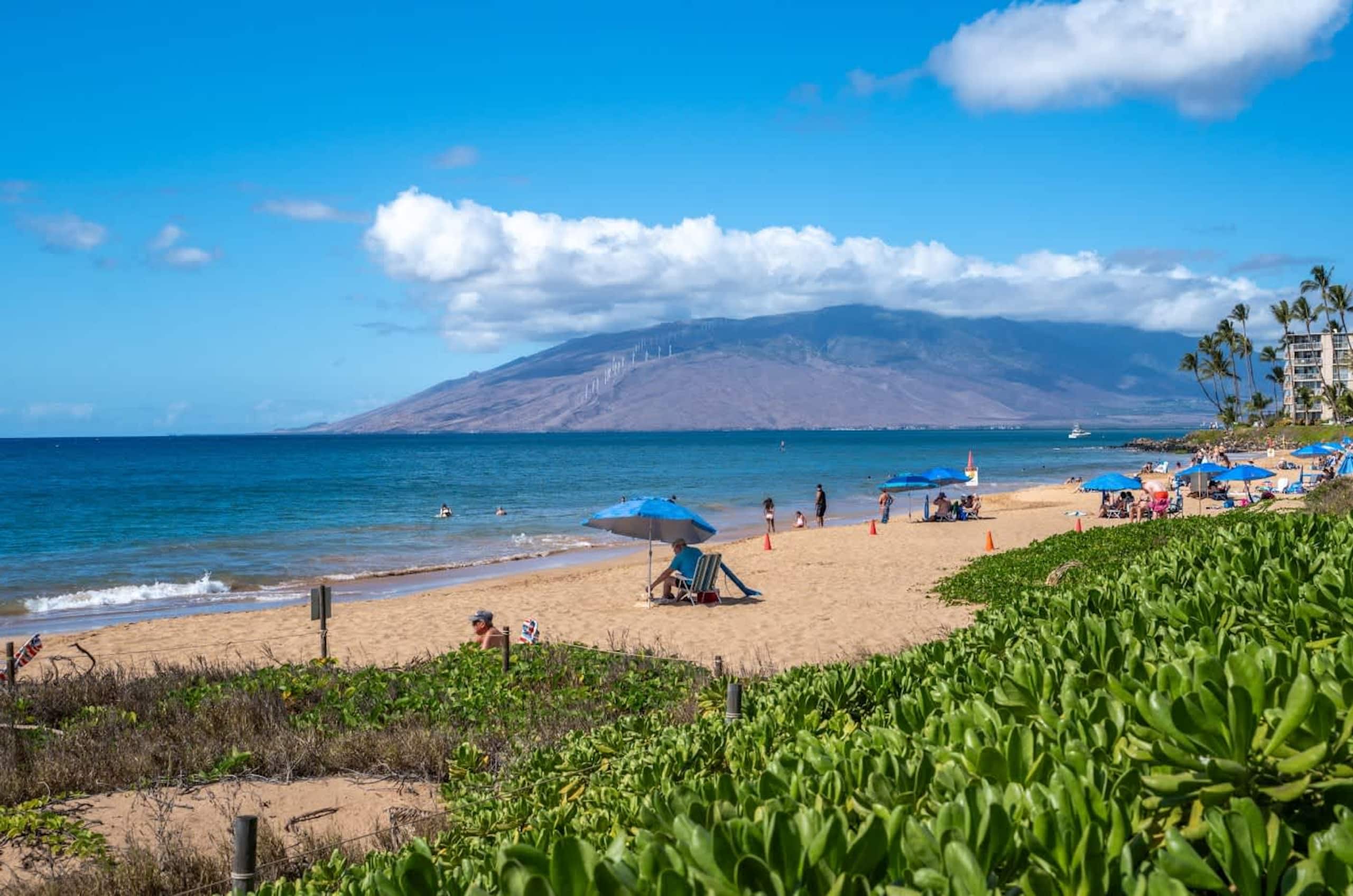 Stylish Hawaiian Tropical Oceanview Vistas - Image 37