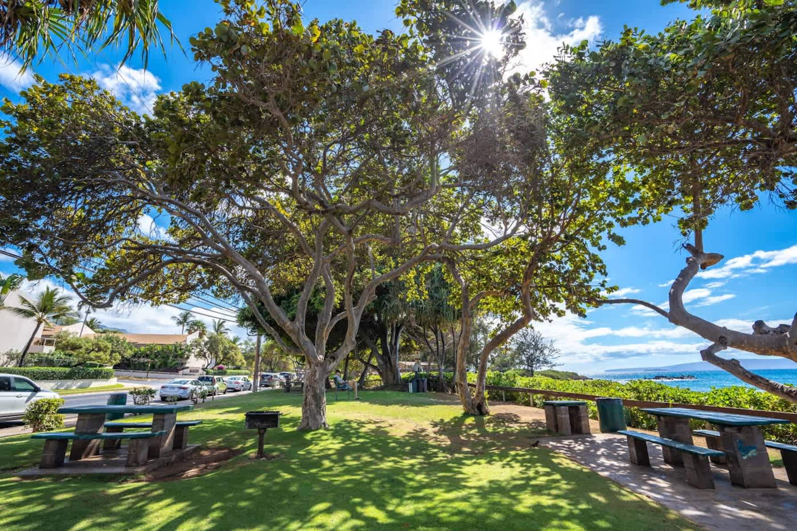 Stylish Hawaiian Tropical Oceanview Vistas - Image 40