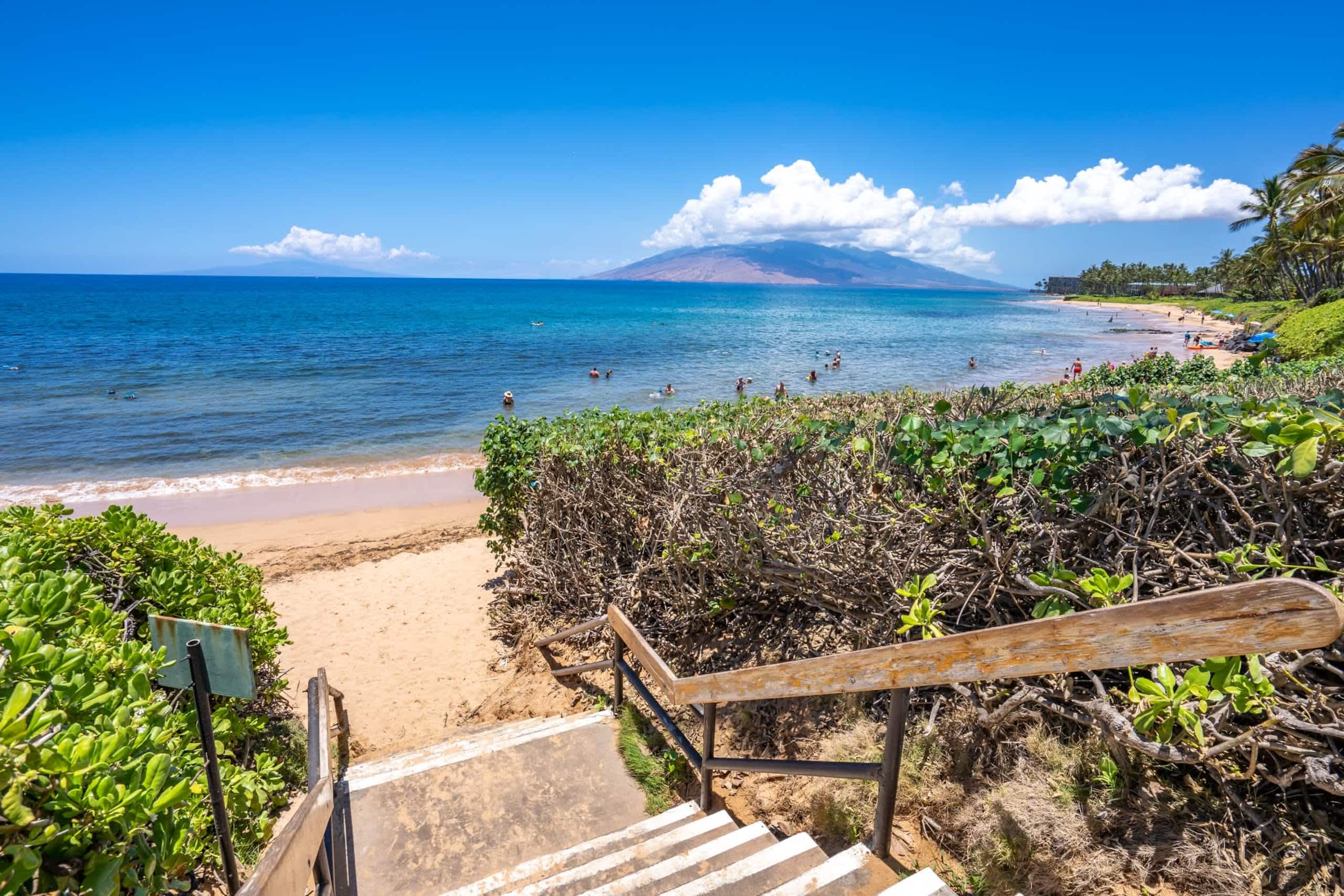 Stylish Hawaiian Tropical Oceanview Vistas - Image 39