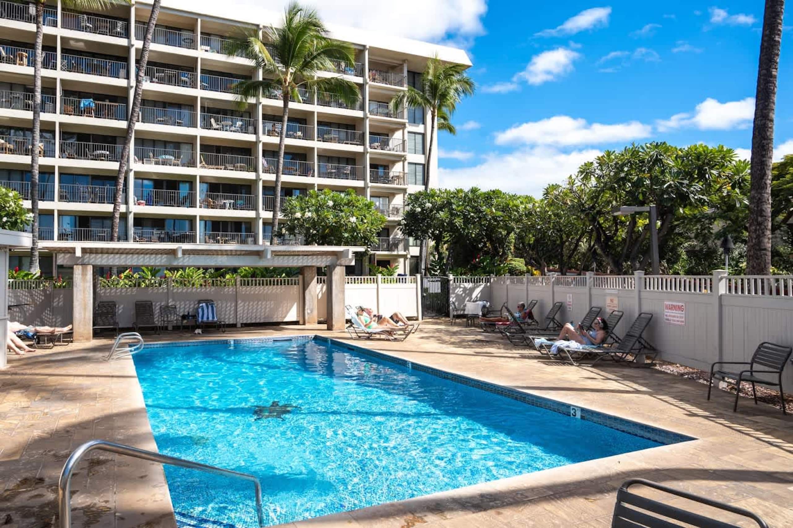Stylish Hawaiian Tropical Oceanview Vistas - Image 34
