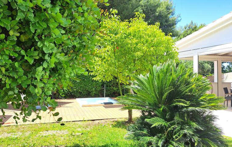 Lovely home in Leporano (TA) with WiFi gallery image 4