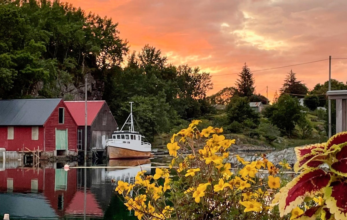 A tranquil scene of a red fishing boat anchored near a charm-filled shoreline, surrounded by lush greenery. A colorful flower bed in the foreground highlights the coastal landscape, while a picturesque sunset casts warm hues over the water's surface.
