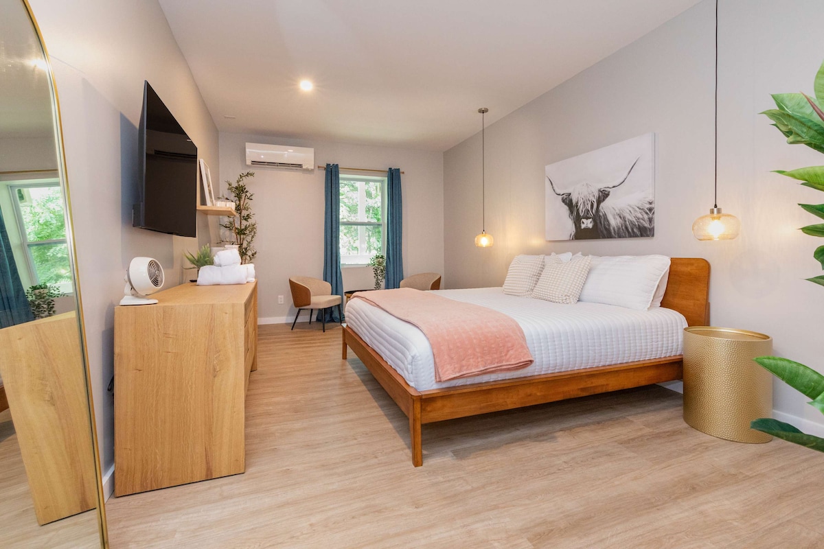 A well-lit king studio features a spacious bed with white linens against a light gray wall. A wooden dresser holds a large flat-screen TV, and decorative elements include potted plants and modern light fixtures. Large windows are dressed with blue curtains allowing natural light.