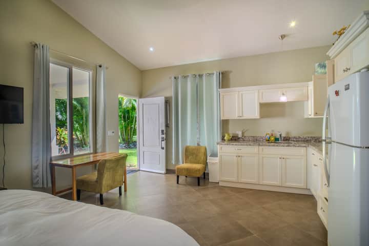 تريس بالماس 2025-26