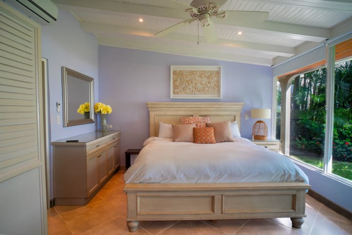 تريس بالماس 2025-20