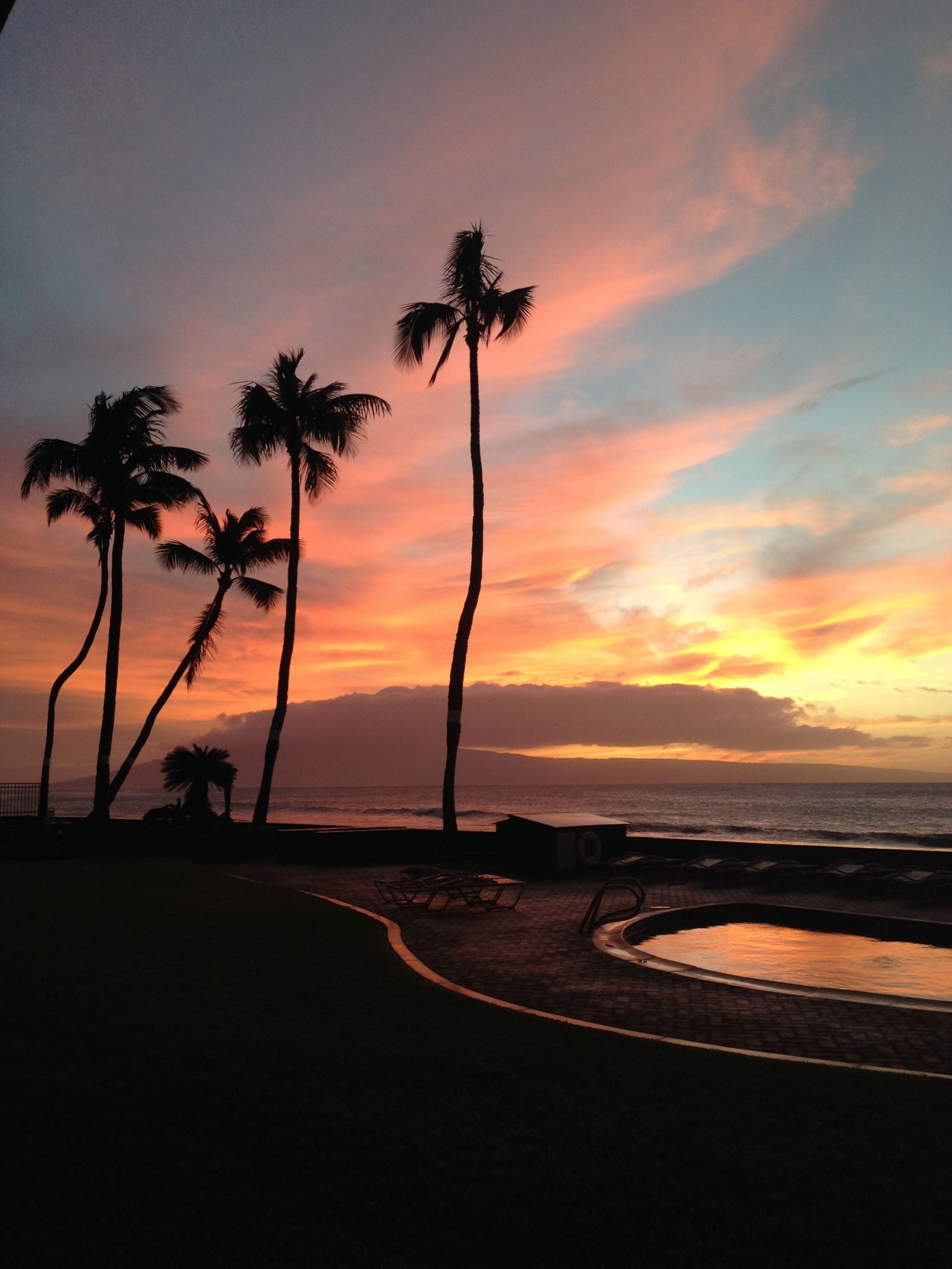 Condo in Lahaina · ★5.0 · 2 bedrooms · 2 beds · 2 baths - Image 32