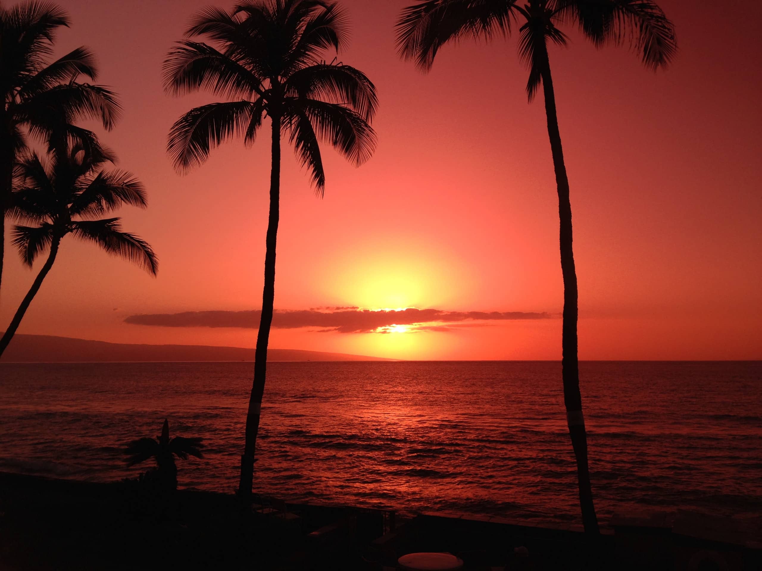 Condo in Lahaina · ★5.0 · 2 bedrooms · 2 beds · 2 baths - Image 41