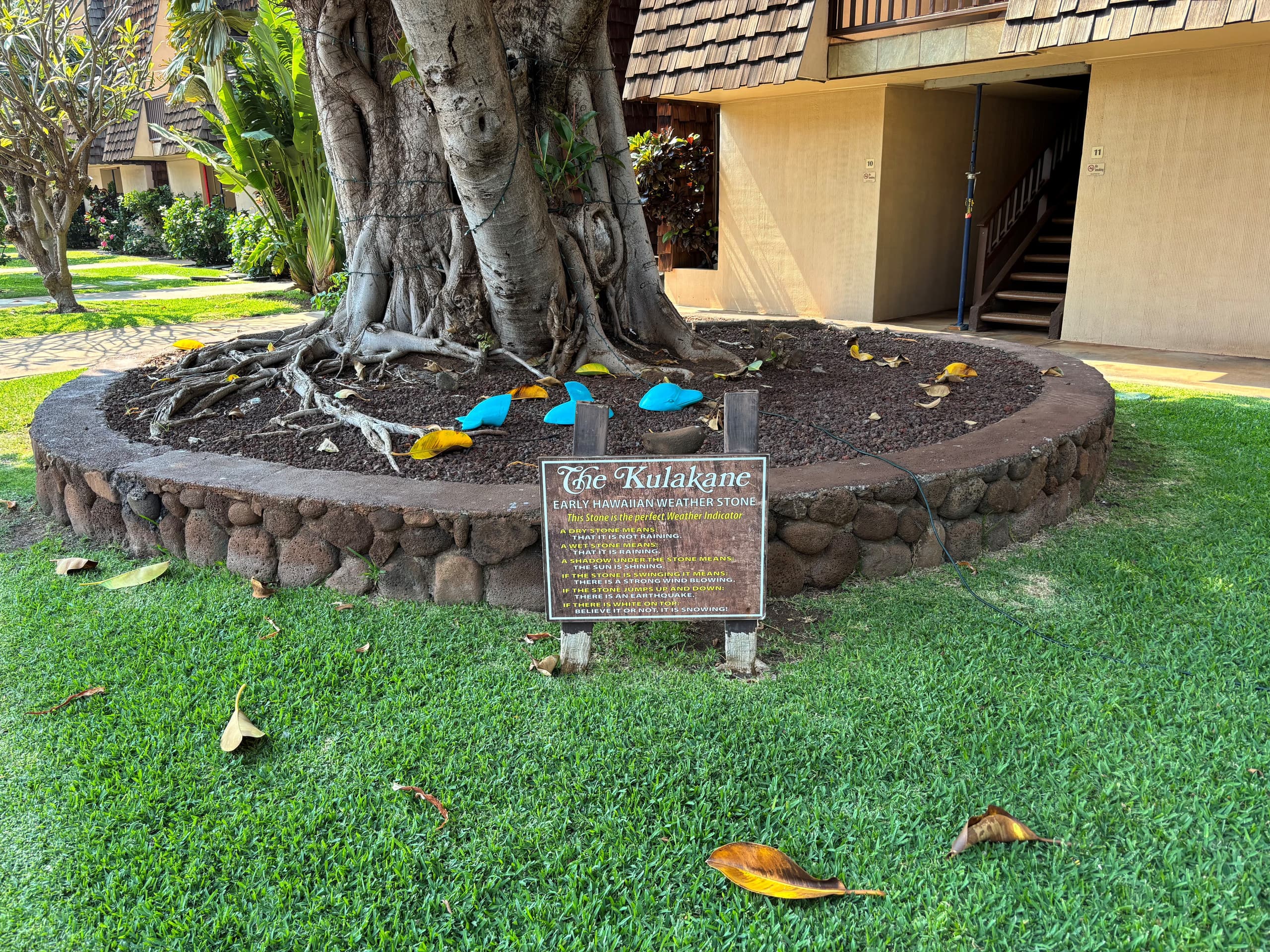 Condo in Lahaina · ★5.0 · 2 bedrooms · 2 beds · 2 baths - Image 24