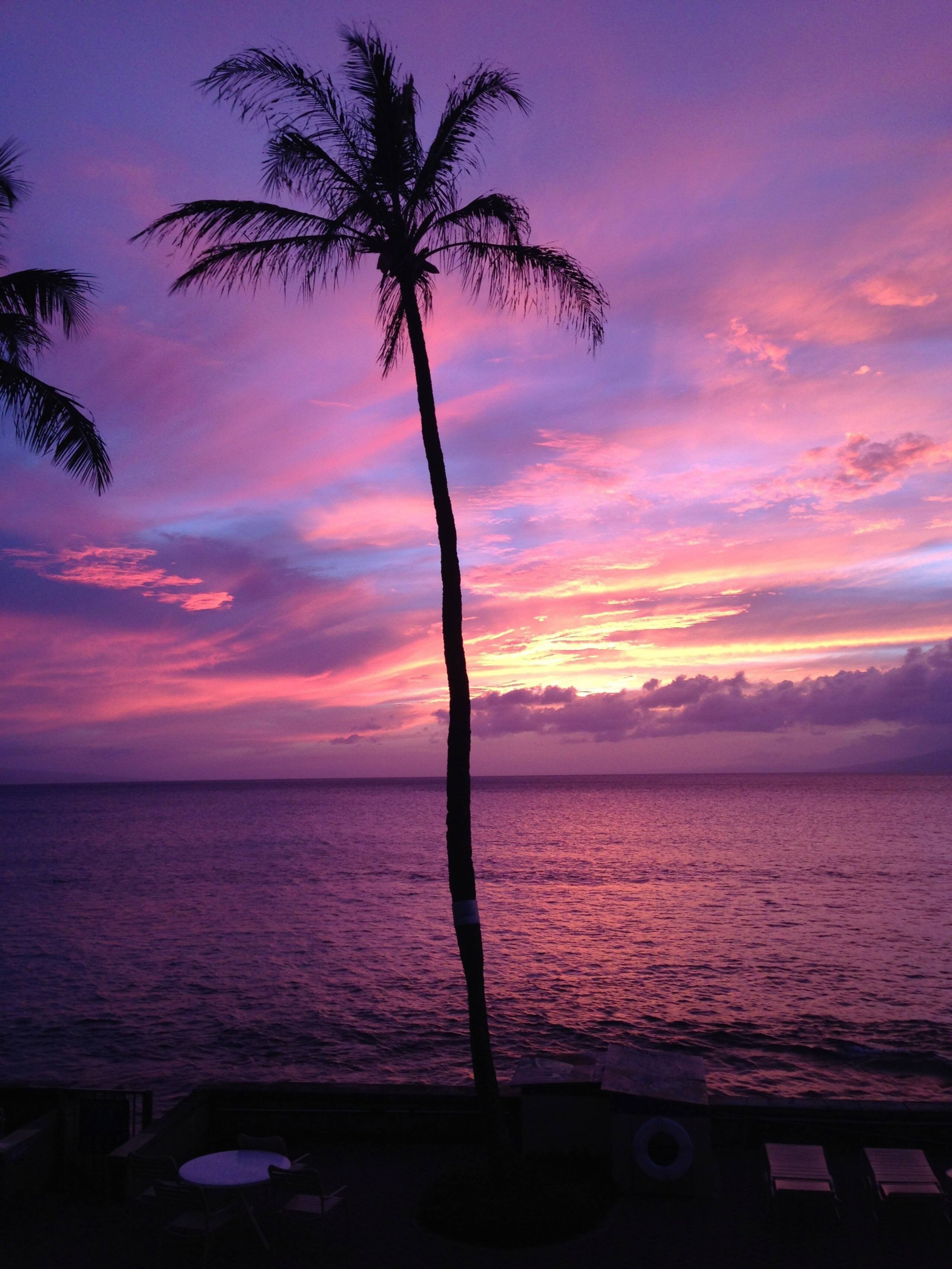Condo in Lahaina · ★5.0 · 2 bedrooms · 2 beds · 2 baths - Image 42