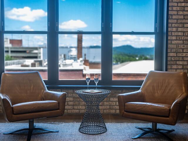 Downtown Penthouse +Biltmore Pass, Pet-Friendly gallery image 5