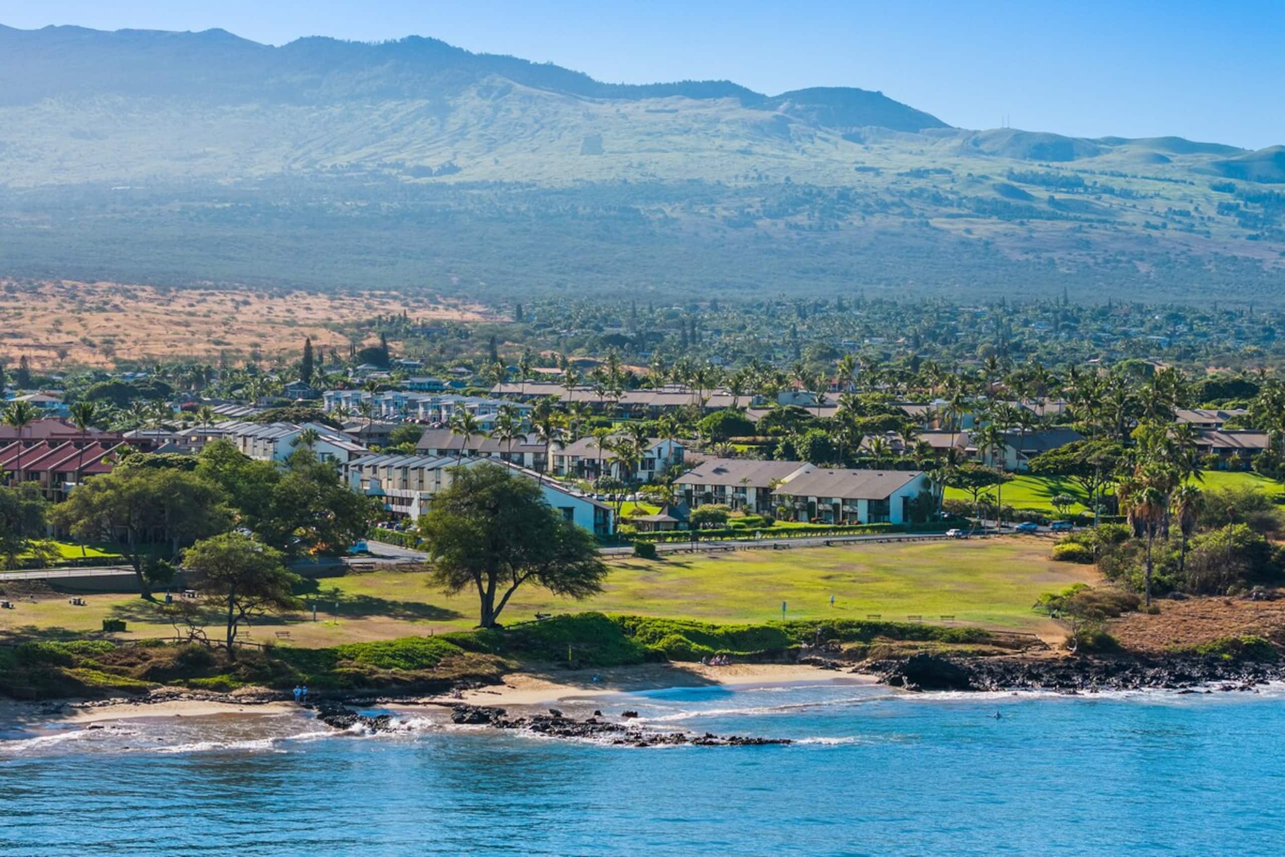 Condo in Kihei · ★4.88 · 1 bedroom · 2 beds · 1 bath - Image 42